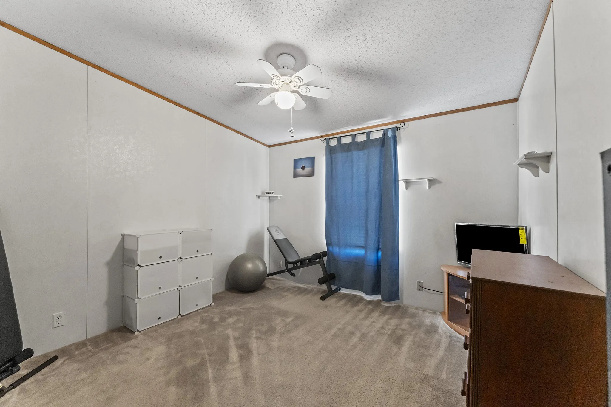 Textured wall panels with wood trim accents, carpeted flooring, and a ceiling fan with integrated lighting