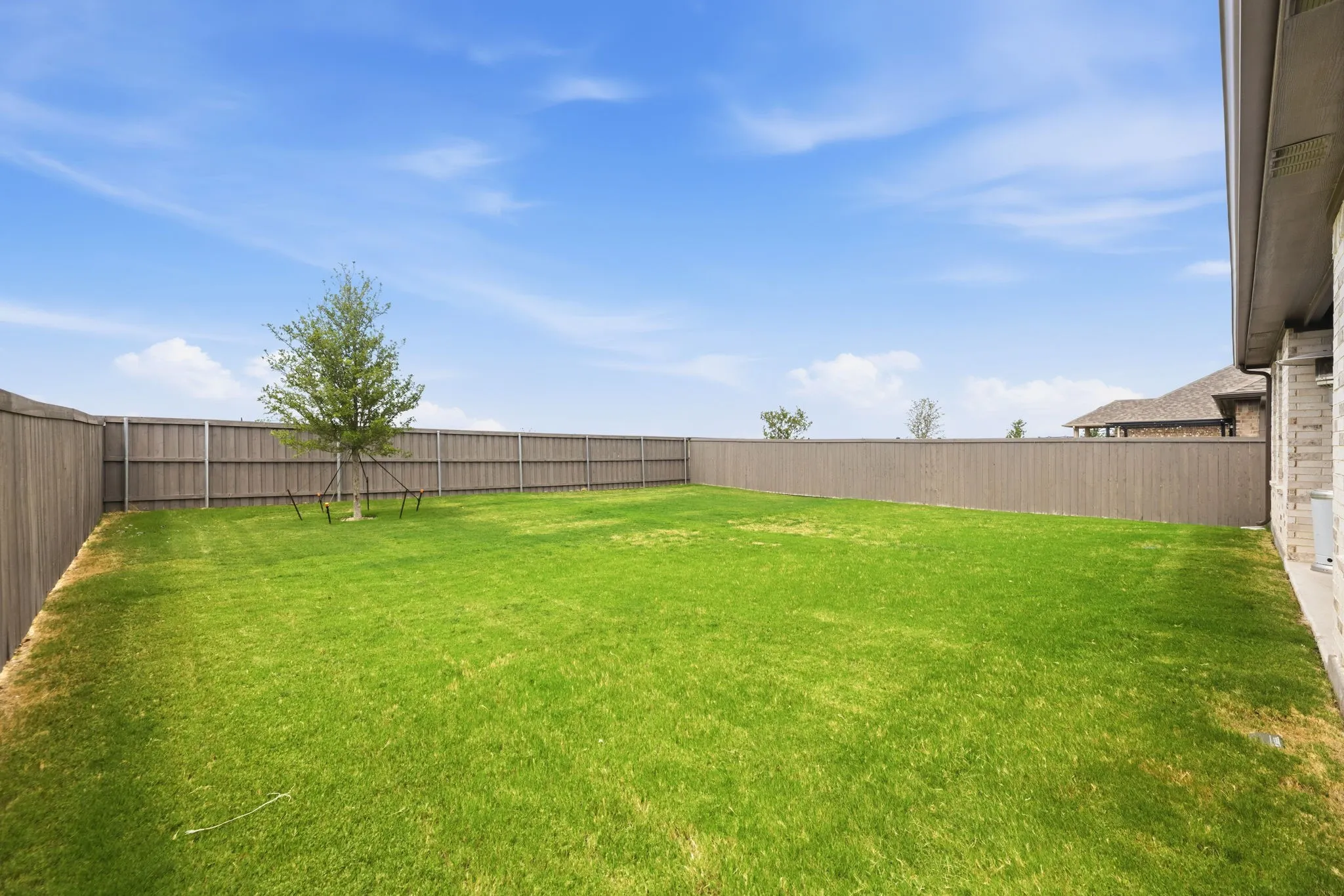 Spacious Yard