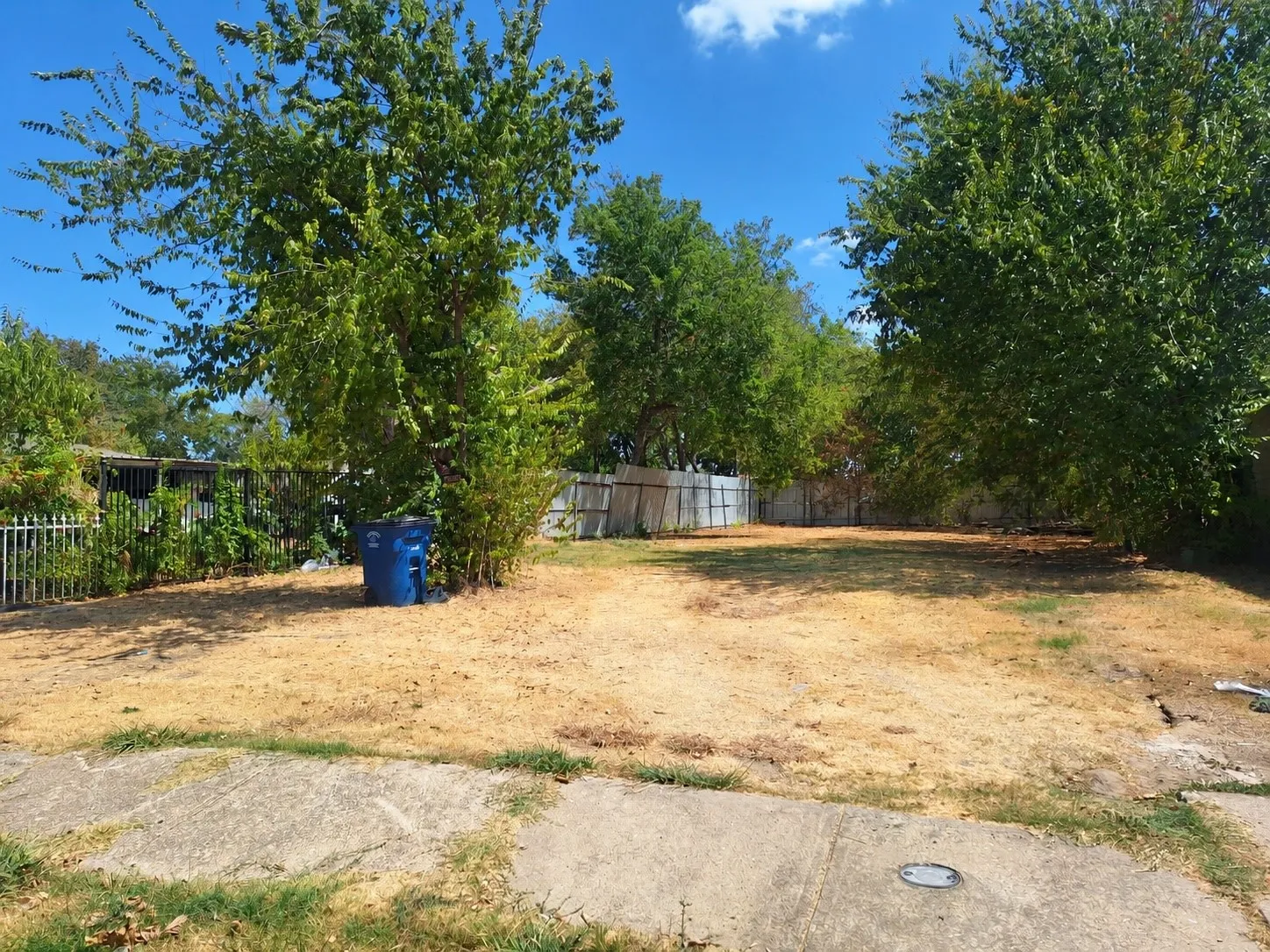 Expansive lot with mature trees and a perimeter fence