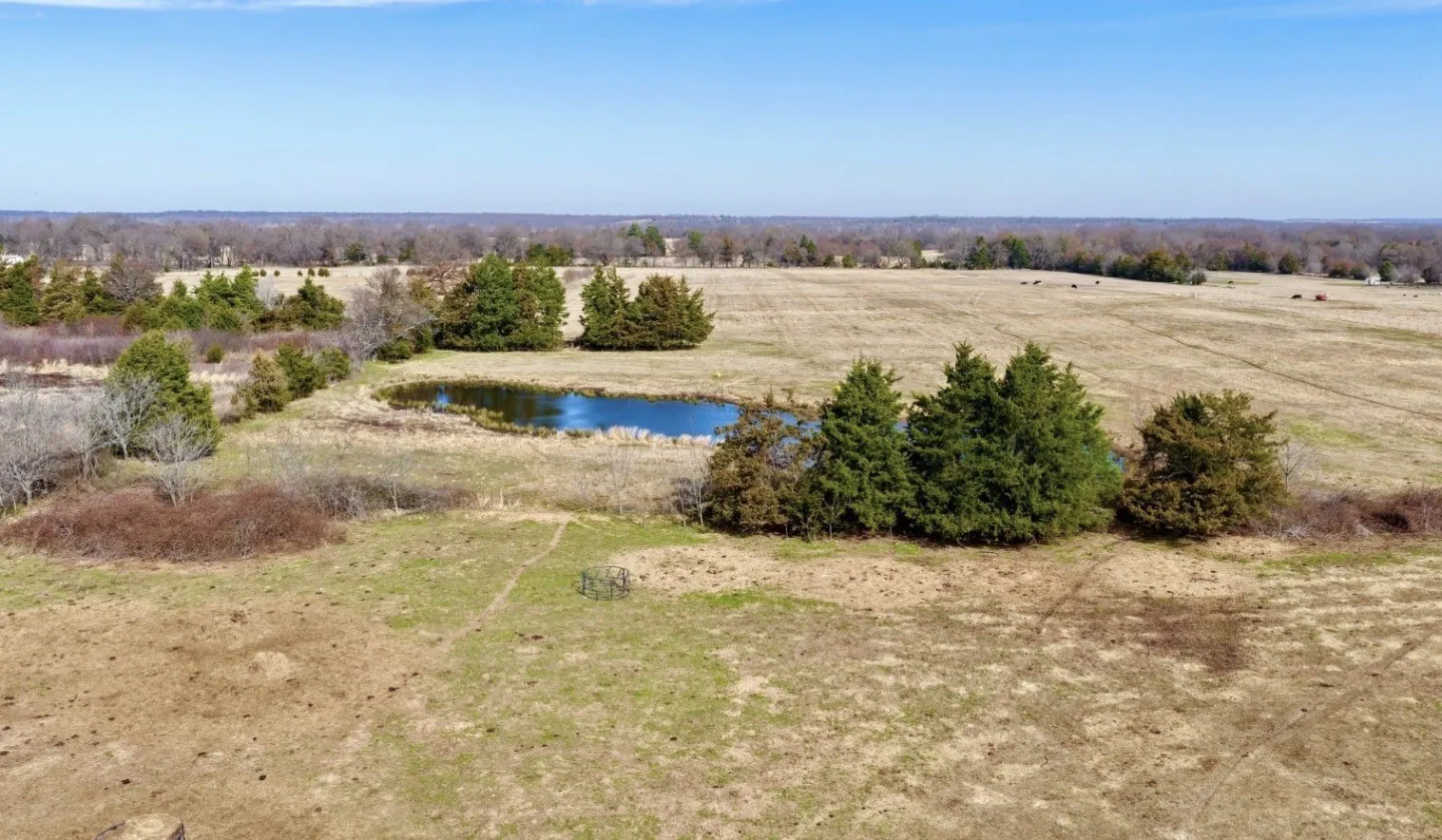 Unimproved Land For Sale in Lamar County , 000 County Road 36520, Arthur City, Texas 75411, 0, 0, Garage spaces, 0 Sqft, built in 0, mls#21389492, Real Estate Agent in Arthur City, Homes For Sale in Lamar county, Homes For Sale in Arthur City, Realtor in Arthur City Texas, Real Estate Brokerage Independent Realty Texas, Luminita Cordes Realtor