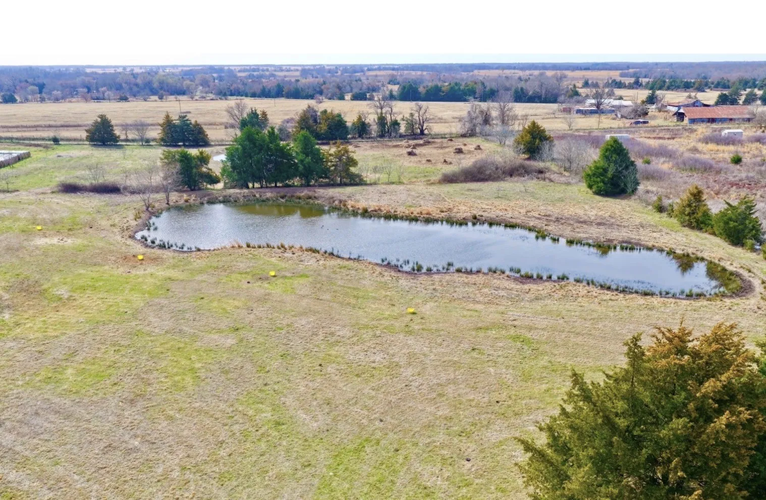 Unimproved Land For Sale in Lamar County , 000 County Road 36520, Arthur City, Texas 75411, 0, 0, Garage spaces, 0 Sqft, built in 0, mls#21389492, Real Estate Agent in Arthur City, Homes For Sale in Lamar county, Homes For Sale in Arthur City, Realtor in Arthur City Texas, Real Estate Brokerage Independent Realty Texas, Luminita Cordes Realtor