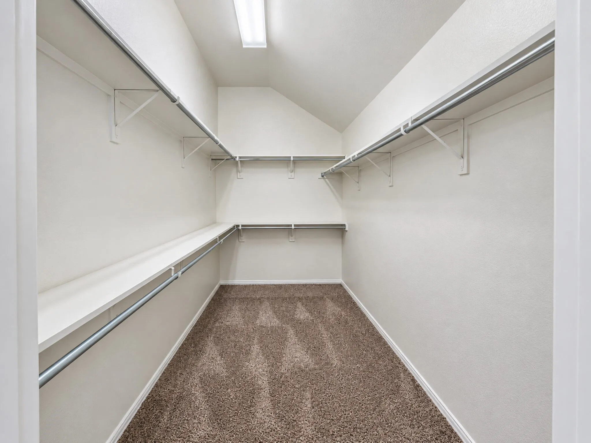 Walk-in closet with carpet flooring, mounted shelving, and hanging rods