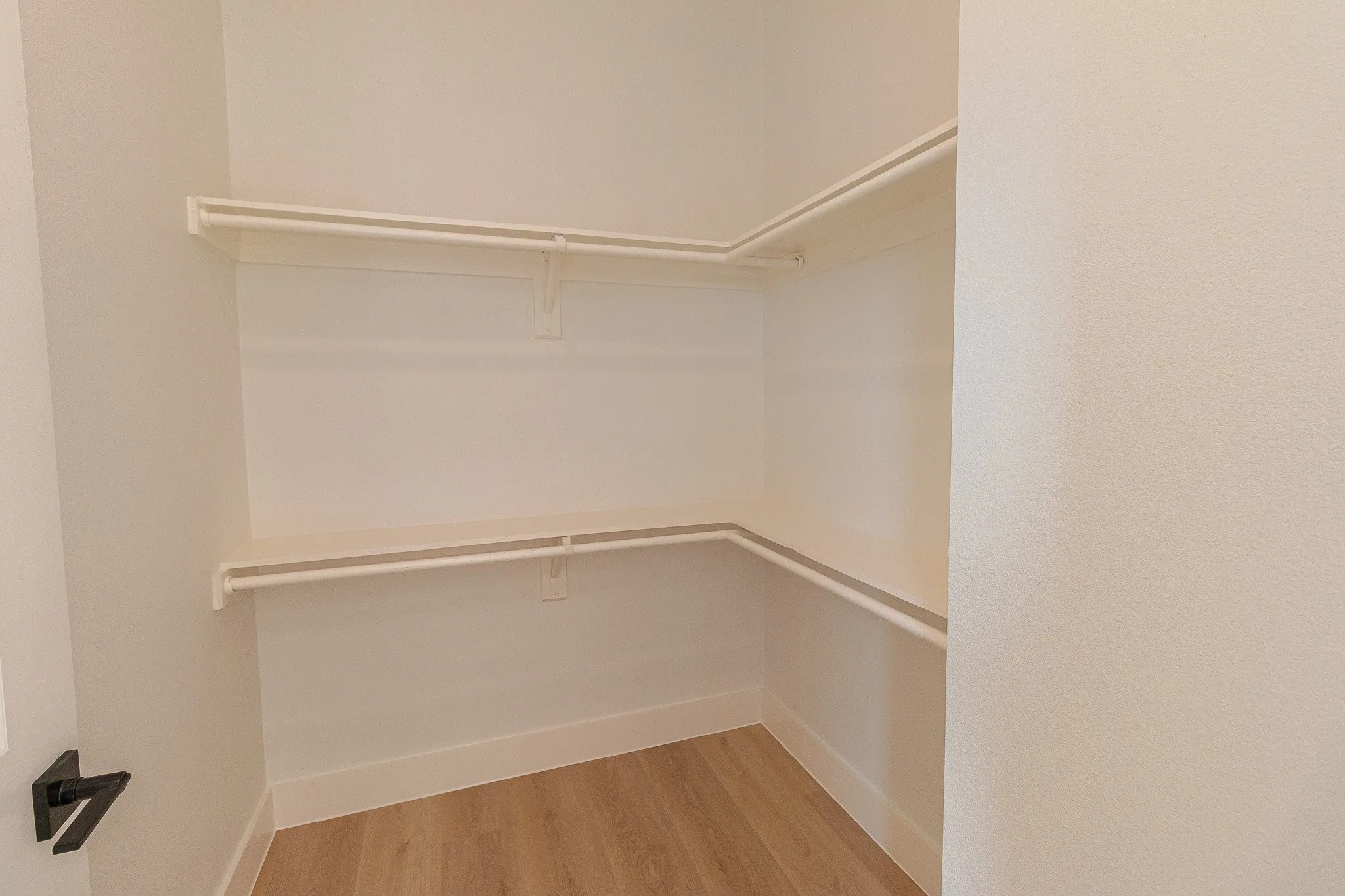 Walk in closet featuring light hardwood / wood-style floors
