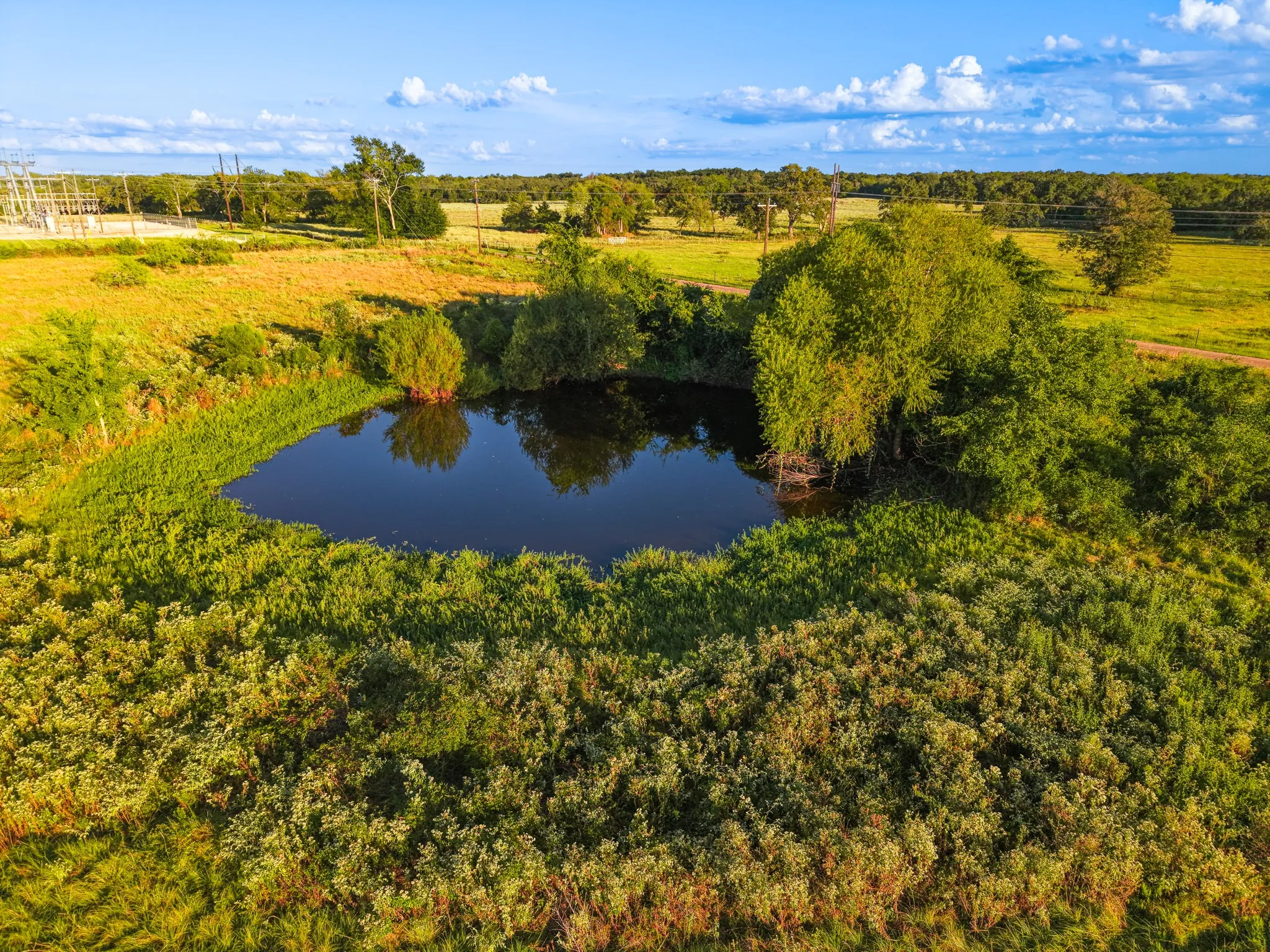 Unimproved Land For Sale in Freestone County , 330 County Road 930, Teague, Texas 75860, 0, 0, Garage spaces, 0 Sqft, built in 0, mls#21389526, Real Estate Agent in Teague, Homes For Sale in Freestone county, Homes For Sale in Teague, Realtor in Teague Texas, Real Estate Brokerage Independent Realty Texas, Luminita Cordes Realtor