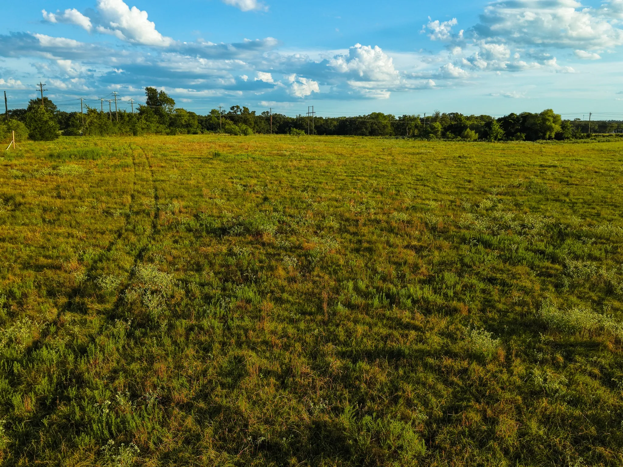 Unimproved Land For Sale in Freestone County , 330 County Road 930, Teague, Texas 75860, 0, 0, Garage spaces, 0 Sqft, built in 0, mls#21389526, Real Estate Agent in Teague, Homes For Sale in Freestone county, Homes For Sale in Teague, Realtor in Teague Texas, Real Estate Brokerage Independent Realty Texas, Luminita Cordes Realtor