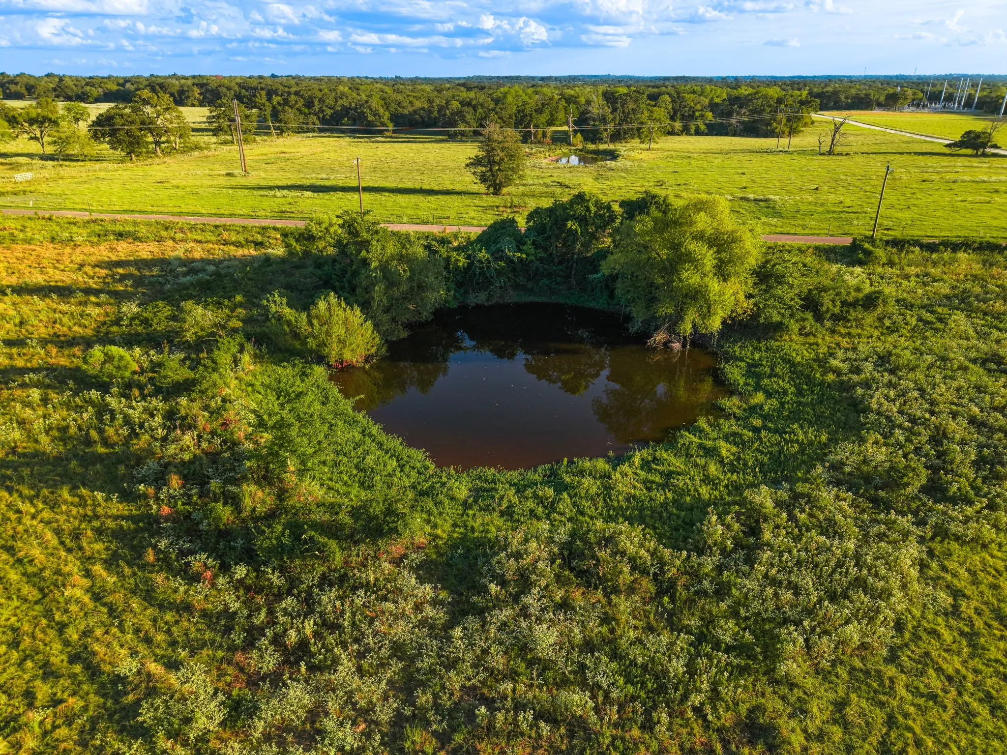 Unimproved Land For Sale in Freestone County , 330 County Road 930, Teague, Texas 75860, 0, 0, Garage spaces, 0 Sqft, built in 0, mls#21389526, Real Estate Agent in Teague, Homes For Sale in Freestone county, Homes For Sale in Teague, Realtor in Teague Texas, Real Estate Brokerage Independent Realty Texas, Luminita Cordes Realtor