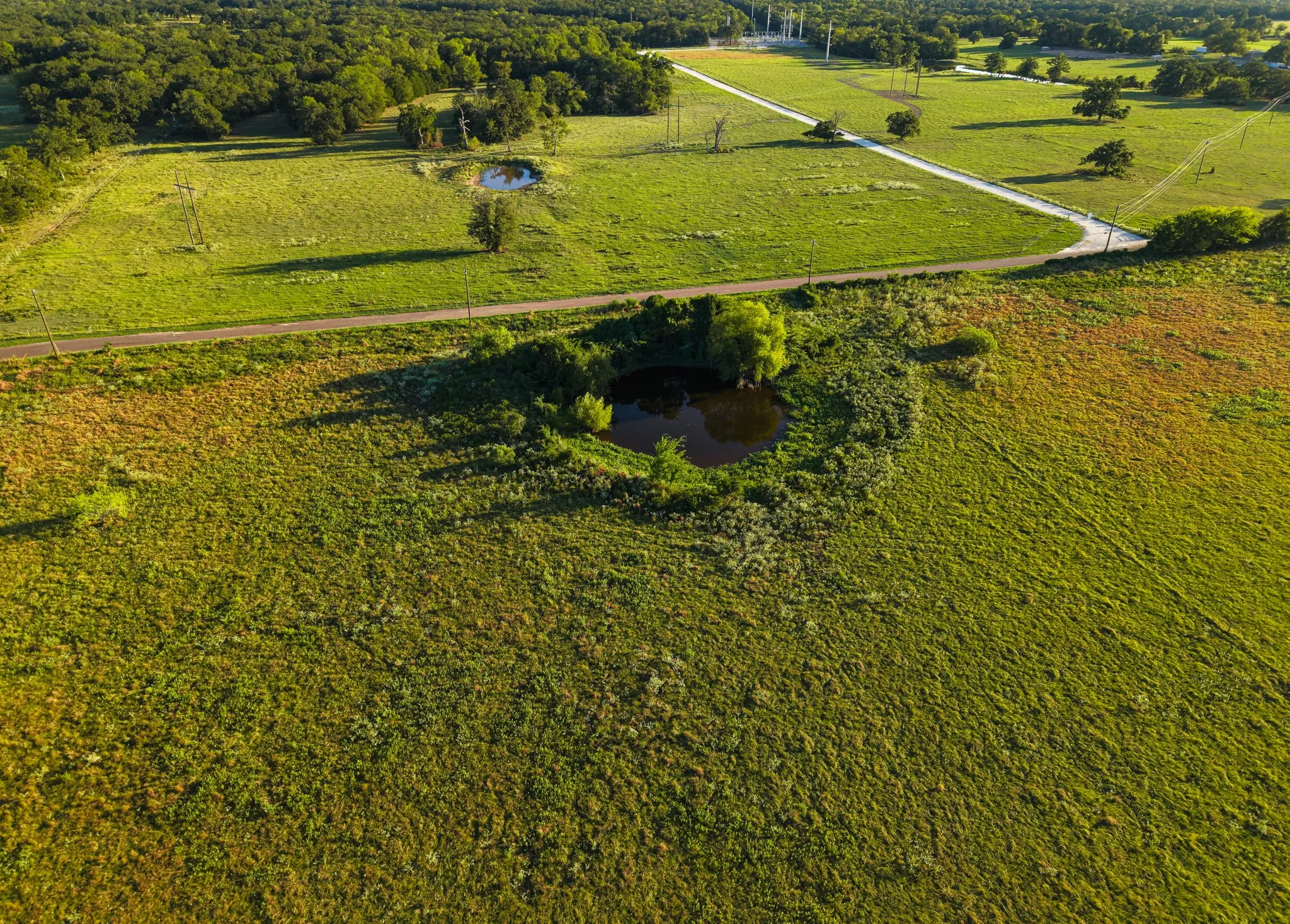 Unimproved Land For Sale in Freestone County , 330 County Road 930, Teague, Texas 75860, 0, 0, Garage spaces, 0 Sqft, built in 0, mls#21389526, Real Estate Agent in Teague, Homes For Sale in Freestone county, Homes For Sale in Teague, Realtor in Teague Texas, Real Estate Brokerage Independent Realty Texas, Luminita Cordes Realtor