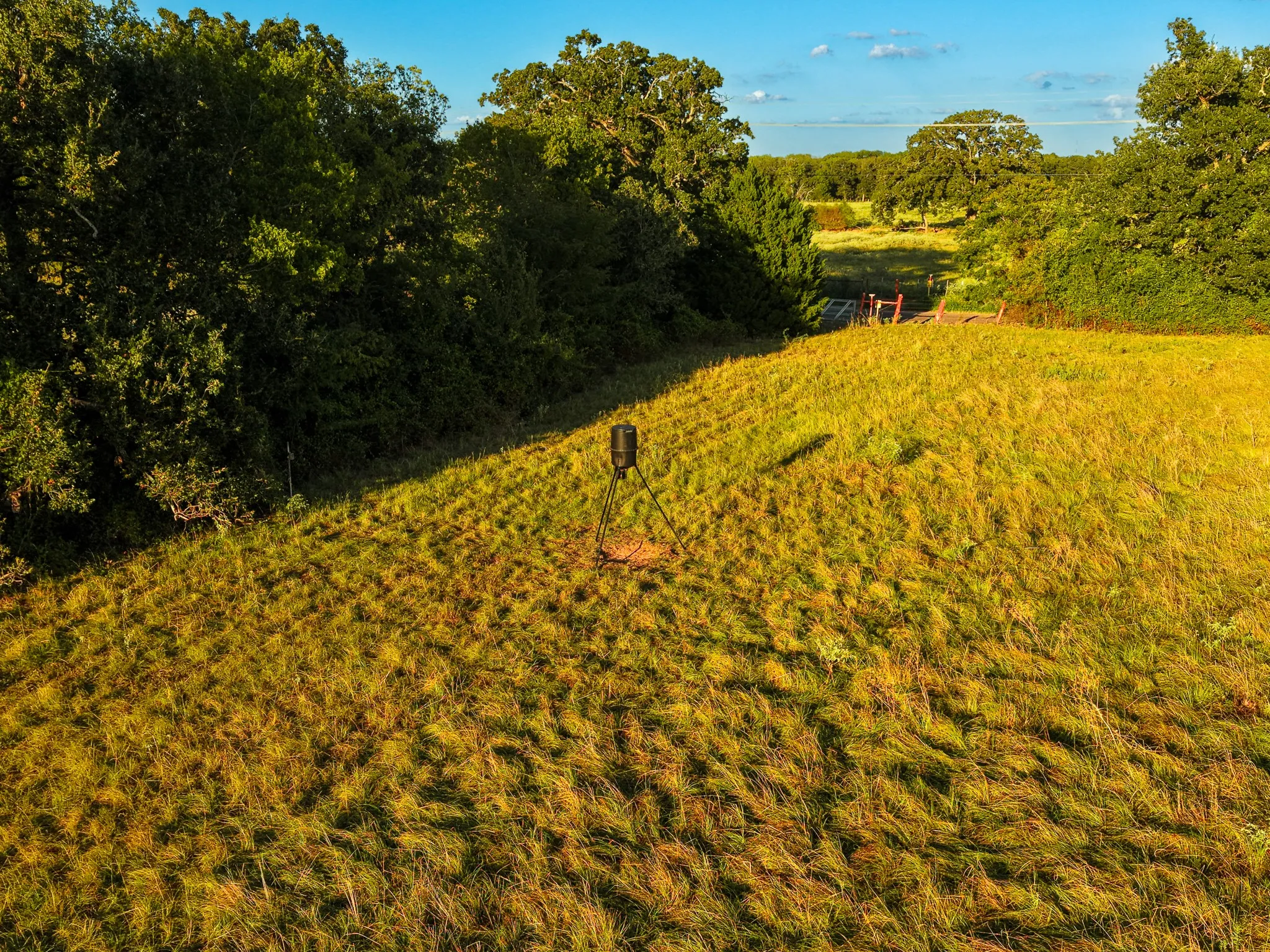 Unimproved Land For Sale in Freestone County , 330 County Road 930, Teague, Texas 75860, 0, 0, Garage spaces, 0 Sqft, built in 0, mls#21389526, Real Estate Agent in Teague, Homes For Sale in Freestone county, Homes For Sale in Teague, Realtor in Teague Texas, Real Estate Brokerage Independent Realty Texas, Luminita Cordes Realtor