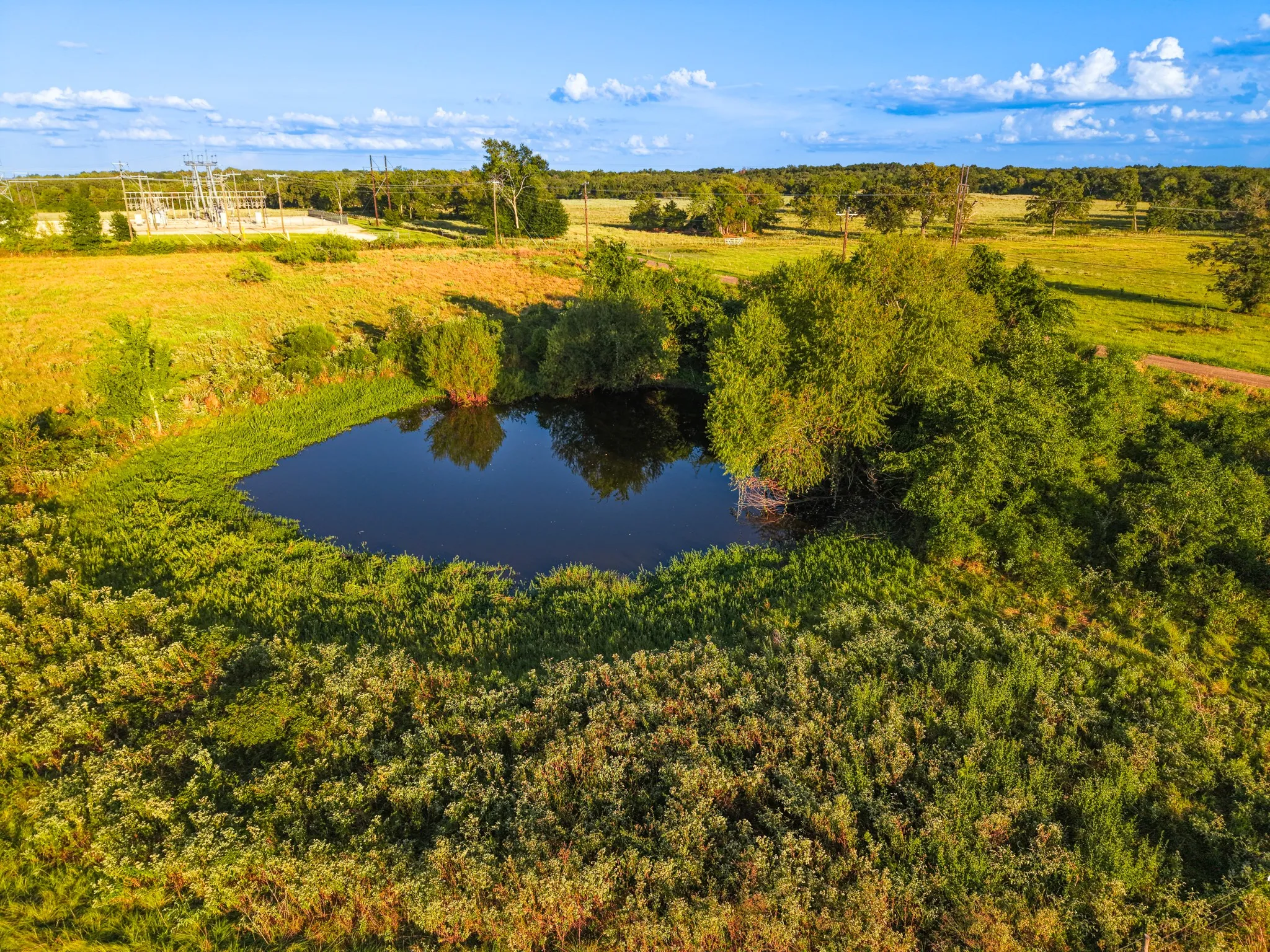 Unimproved Land For Sale in Freestone County , 330 County Road 930, Teague, Texas 75860, 0, 0, Garage spaces, 0 Sqft, built in 0, mls#21389526, Real Estate Agent in Teague, Homes For Sale in Freestone county, Homes For Sale in Teague, Realtor in Teague Texas, Real Estate Brokerage Independent Realty Texas, Luminita Cordes Realtor