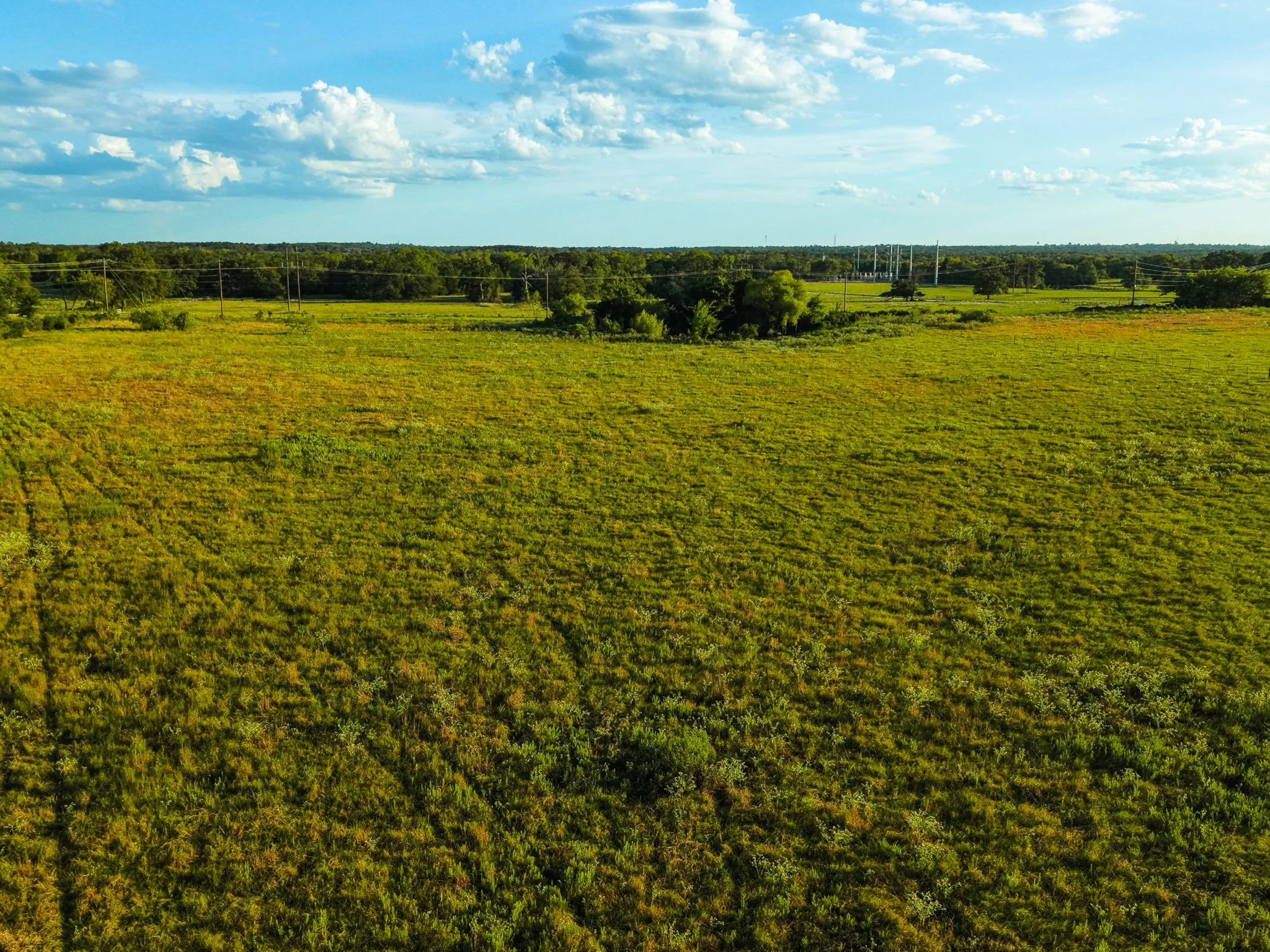Unimproved Land For Sale in Freestone County , 330 County Road 930, Teague, Texas 75860, 0, 0, Garage spaces, 0 Sqft, built in 0, mls#21389526, Real Estate Agent in Teague, Homes For Sale in Freestone county, Homes For Sale in Teague, Realtor in Teague Texas, Real Estate Brokerage Independent Realty Texas, Luminita Cordes Realtor