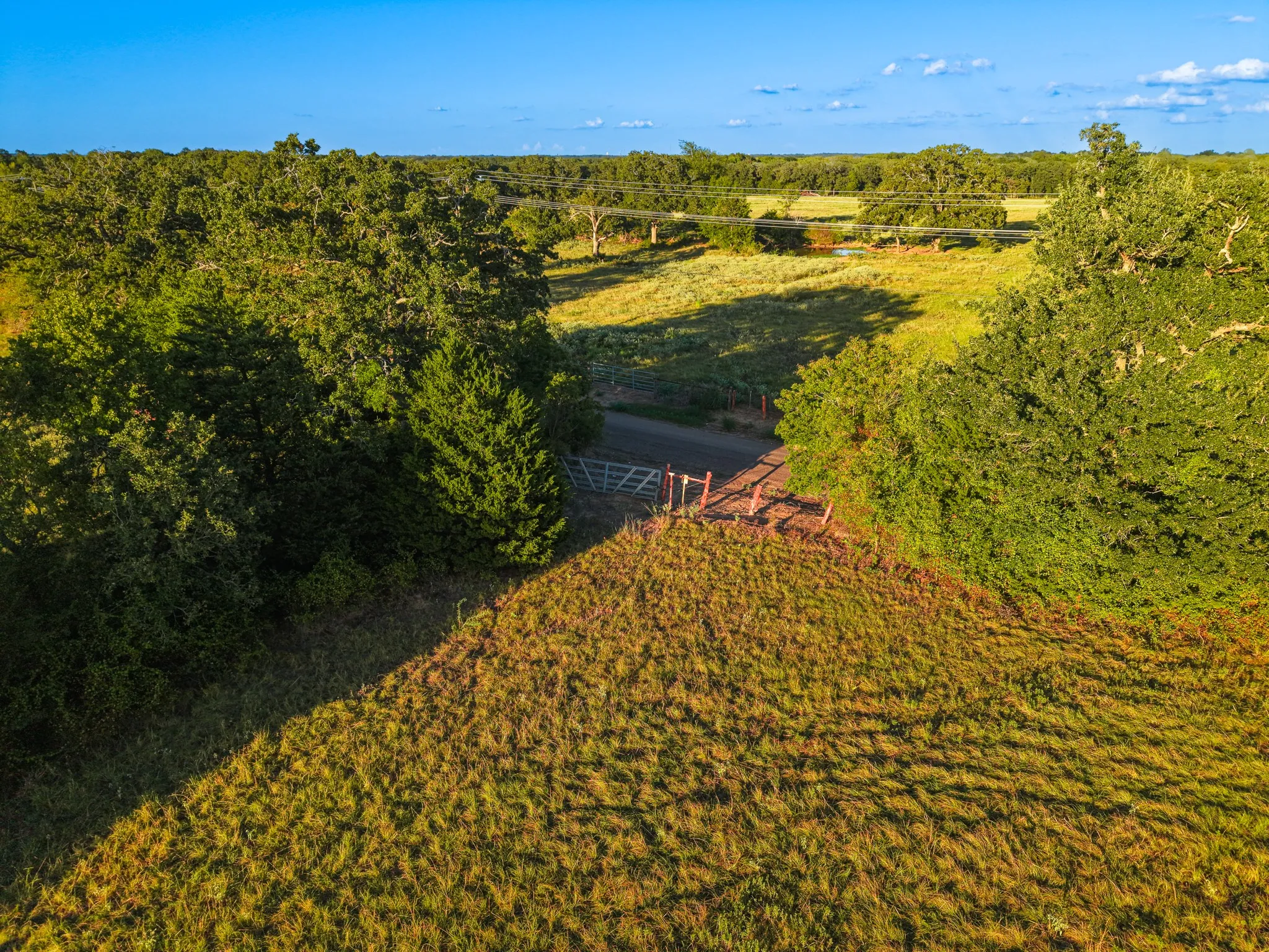 Unimproved Land For Sale in Freestone County , 330 County Road 930, Teague, Texas 75860, 0, 0, Garage spaces, 0 Sqft, built in 0, mls#21389526, Real Estate Agent in Teague, Homes For Sale in Freestone county, Homes For Sale in Teague, Realtor in Teague Texas, Real Estate Brokerage Independent Realty Texas, Luminita Cordes Realtor