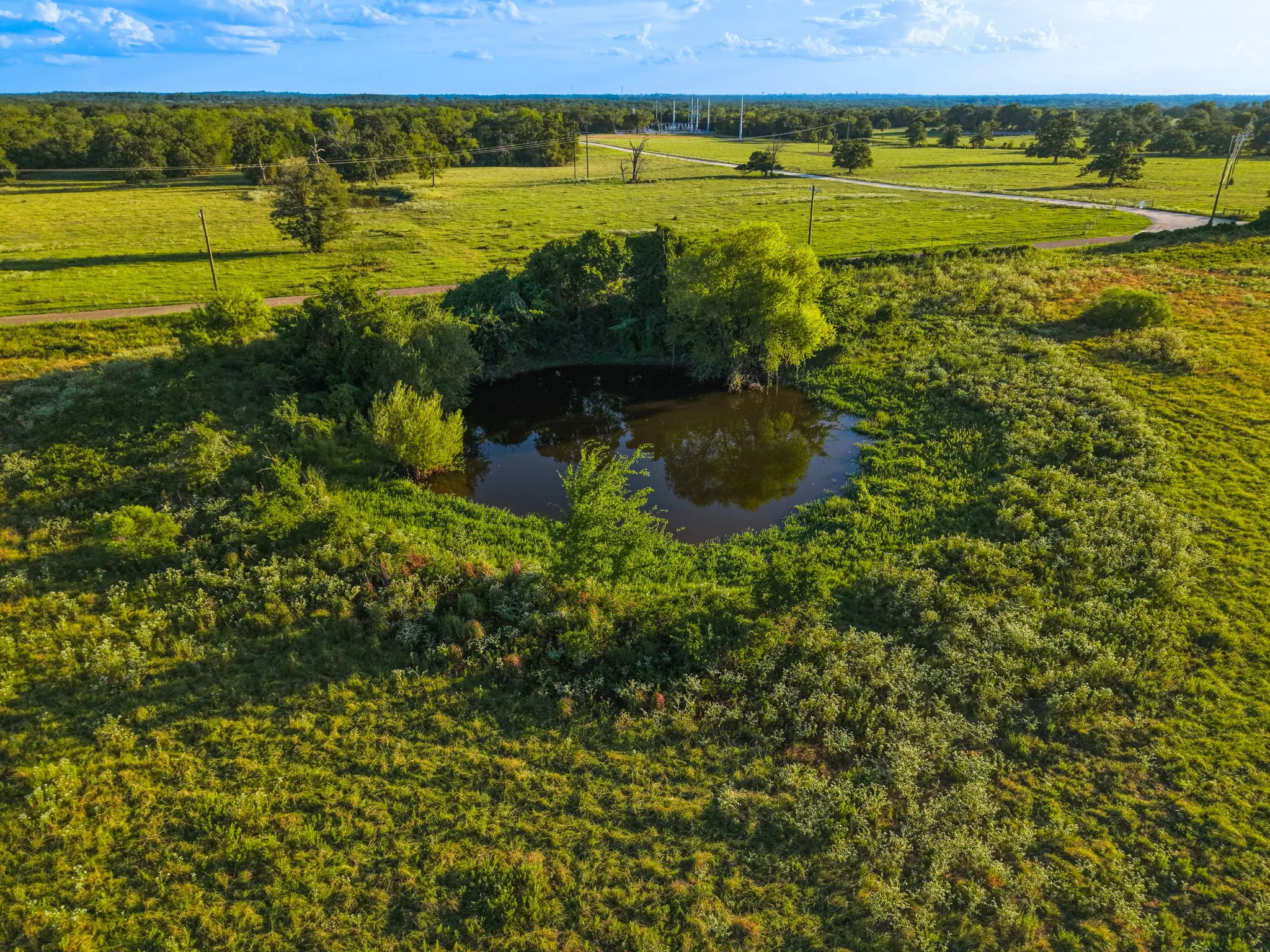 Unimproved Land For Sale in Freestone County , 330 County Road 930, Teague, Texas 75860, 0, 0, Garage spaces, 0 Sqft, built in 0, mls#21389526, Real Estate Agent in Teague, Homes For Sale in Freestone county, Homes For Sale in Teague, Realtor in Teague Texas, Real Estate Brokerage Independent Realty Texas, Luminita Cordes Realtor