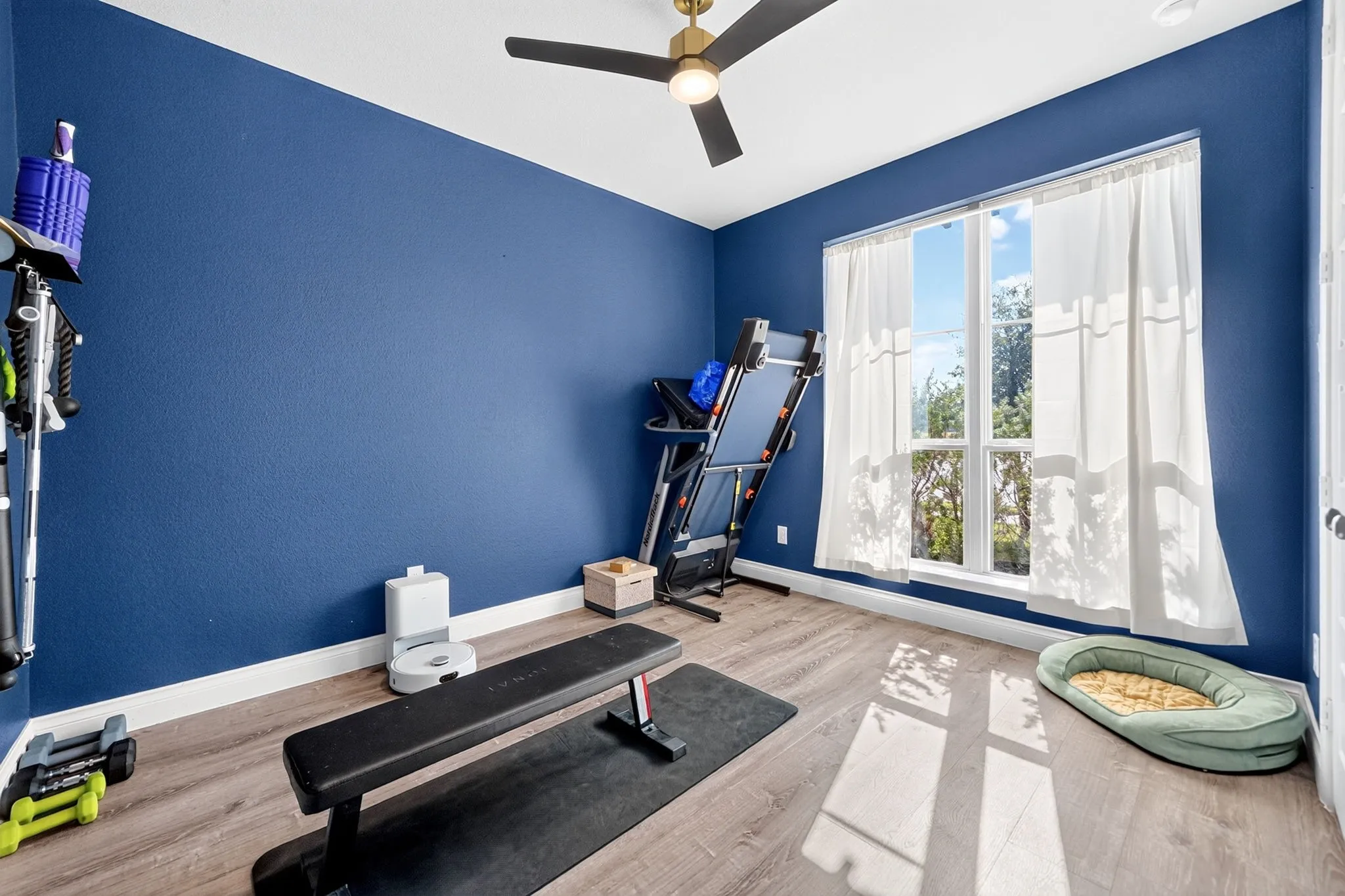 Room featuring wood-finish flooring, a ceiling fan with integrated lighting, and a large window with white curtains