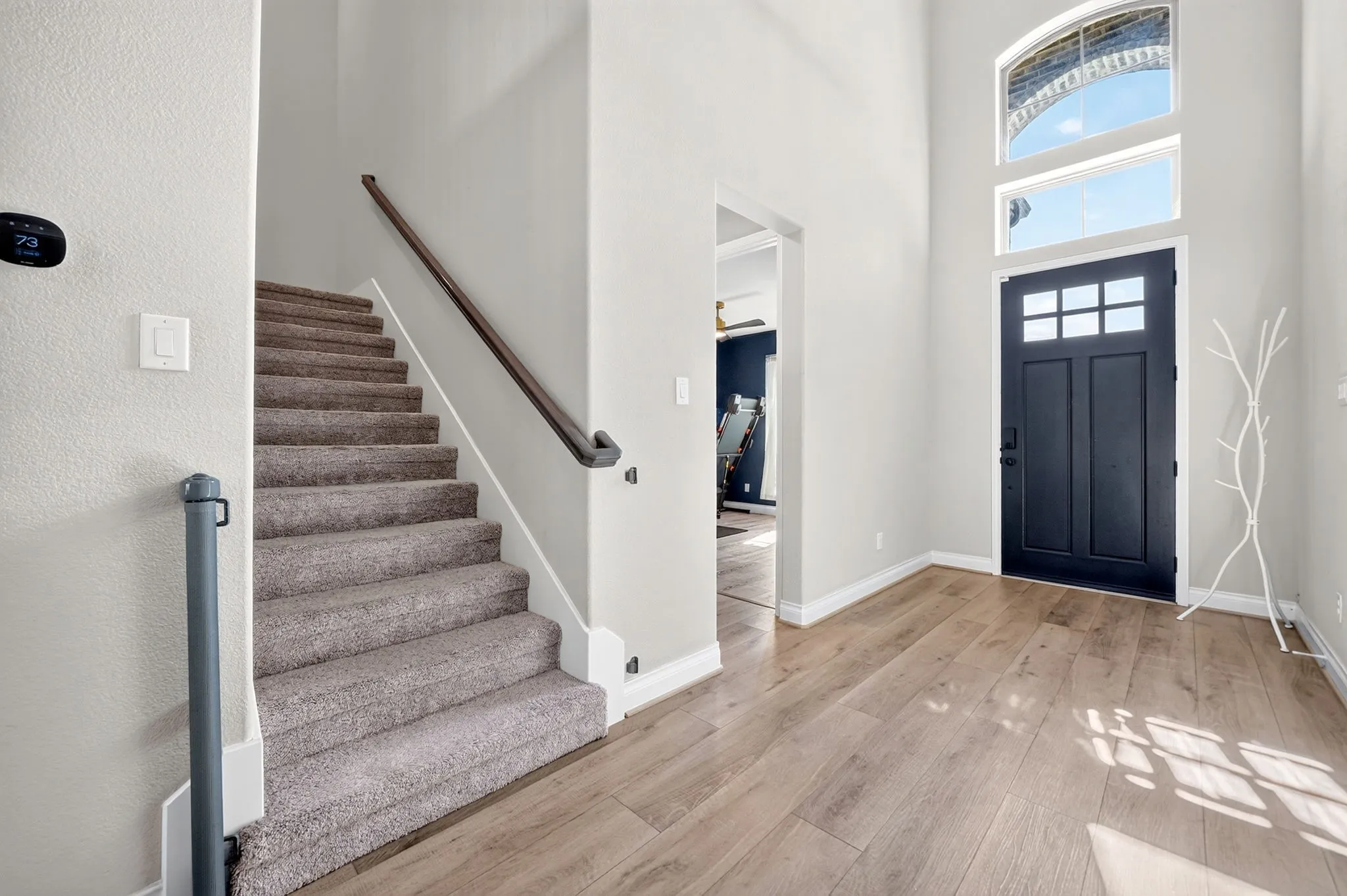 Two-story entryway with wood-finish flooring, a carpeted staircase, and a dark-paneled front door with upper window panes