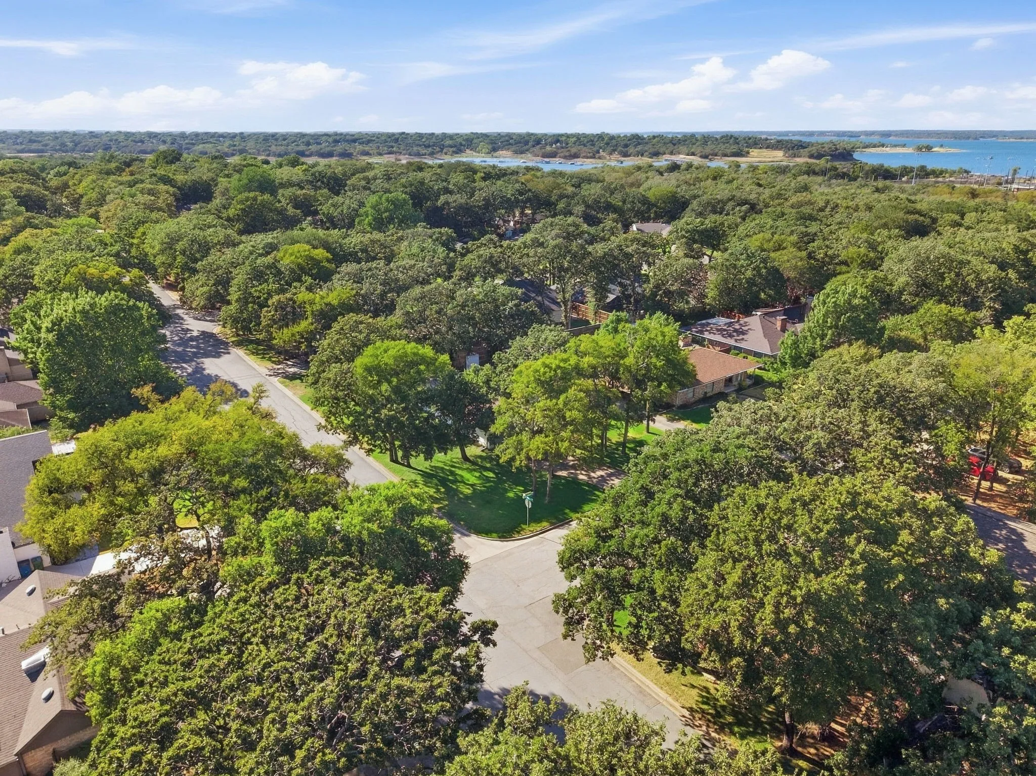 Aerial perspective of Grapevine Lake, extensive tree canopy, and neighborhoods