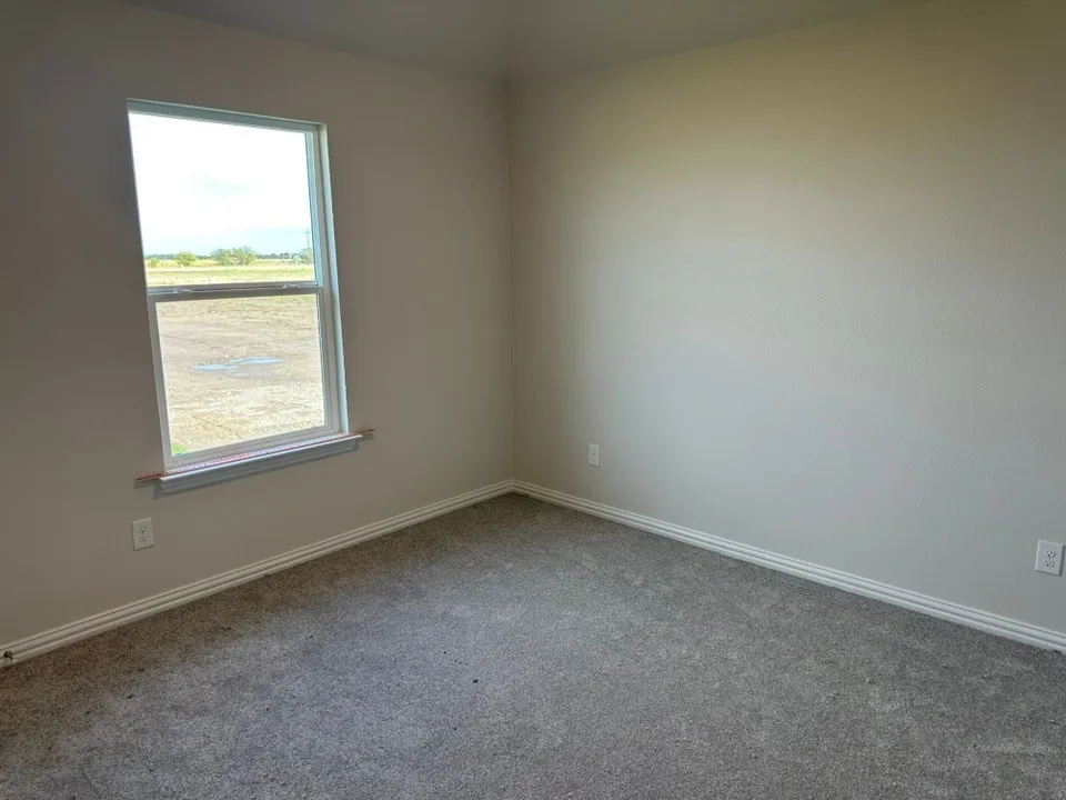 Neutral-toned wall paint, carpeted flooring, and a double-hung window