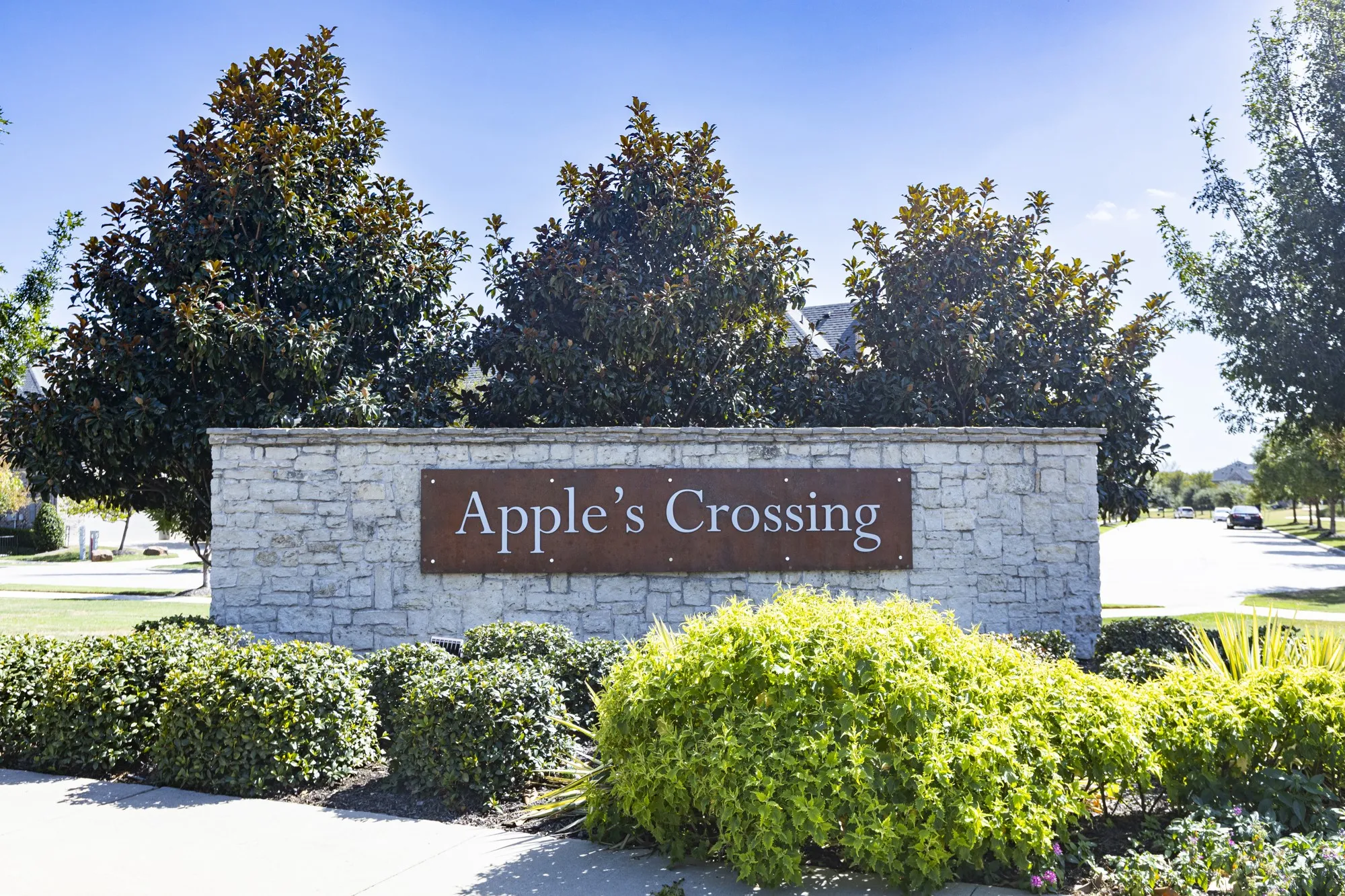 Townhouse For Sale in Collin County , 4880 Woodruff Way, Fairview, Texas 75069, 2 Bedroom, 3 Bathroom, 2 Garage spaces, 1,840 Sqft, built in 2020, mls#21385915, Real Estate Agent in Fairview, Homes For Sale in Collin county, Homes For Sale in Fairview, Realtor in Fairview Texas, Real Estate Brokerage Independent Realty Texas, Luminita Cordes Realtor