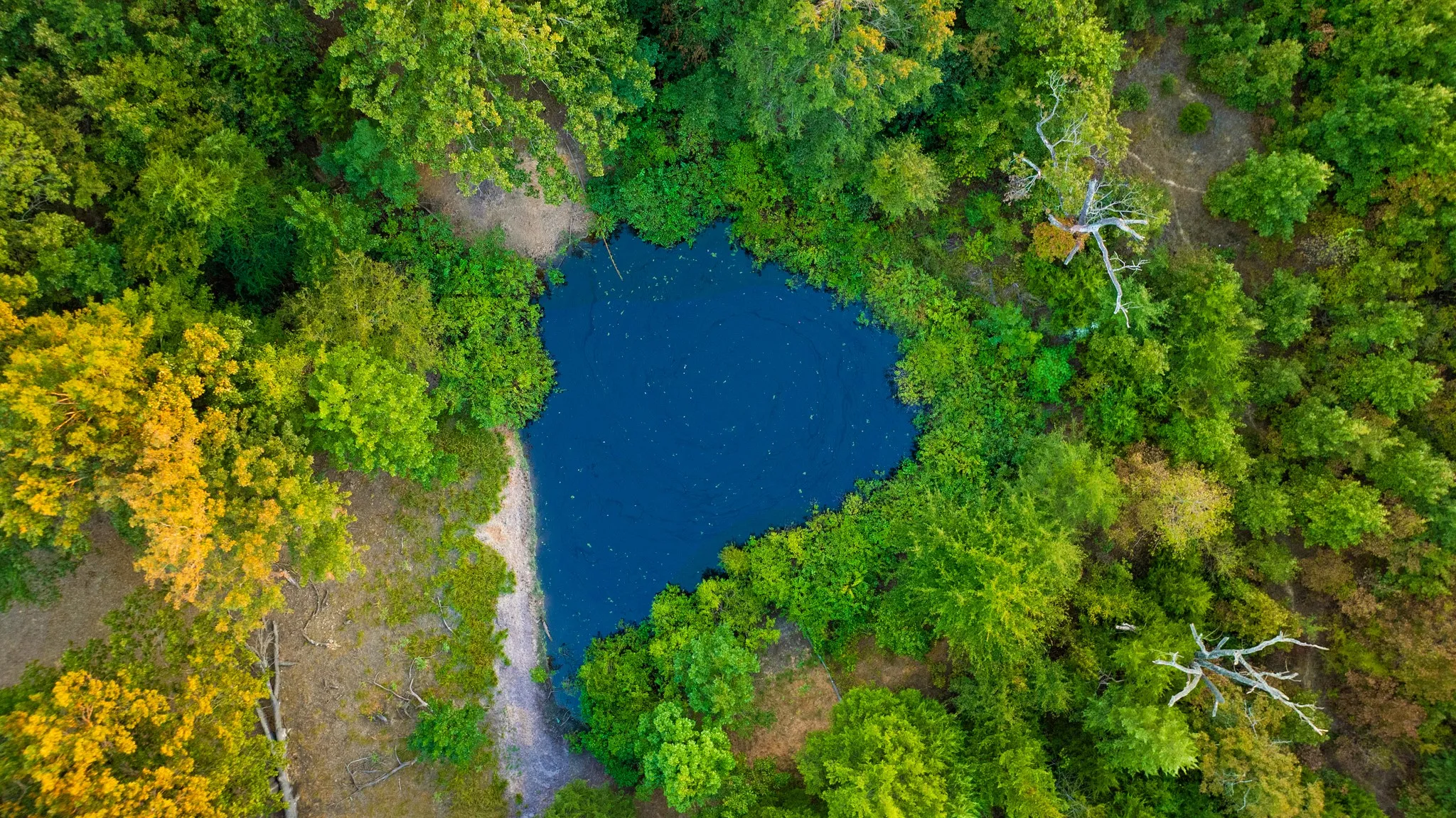 Single Family Residence For Sale in Lamar County , 15170 Farm Road 79, Sumner, Texas 75486, 5 Bedroom, 5 Bathroom, 2 Garage spaces, 3,600 Sqft, built in 2022, mls#21386391, Real Estate Agent in Sumner, Homes For Sale in Lamar county, Homes For Sale in Sumner, Realtor in Sumner Texas, Real Estate Brokerage Independent Realty Texas, Luminita Cordes Realtor
