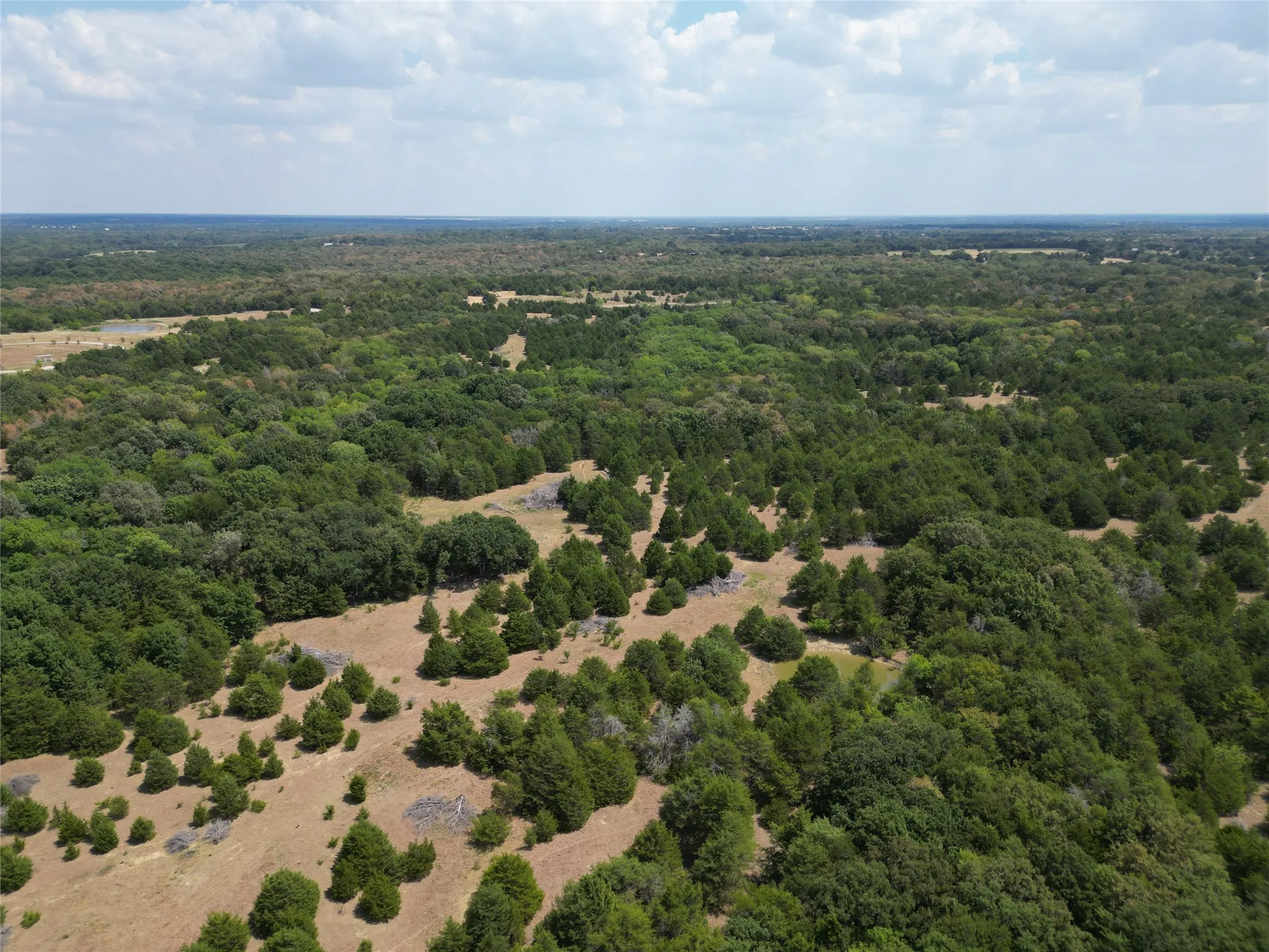 Unimproved Land For Sale in Hunt County , 85 ac County Road 1019, Celeste, Texas 75423, 0, 0, Garage spaces, 0 Sqft, built in 0, mls#21389652, Real Estate Agent in Celeste, Homes For Sale in Hunt county, Homes For Sale in Celeste, Realtor in Celeste Texas, Real Estate Brokerage Independent Realty Texas, Luminita Cordes Realtor