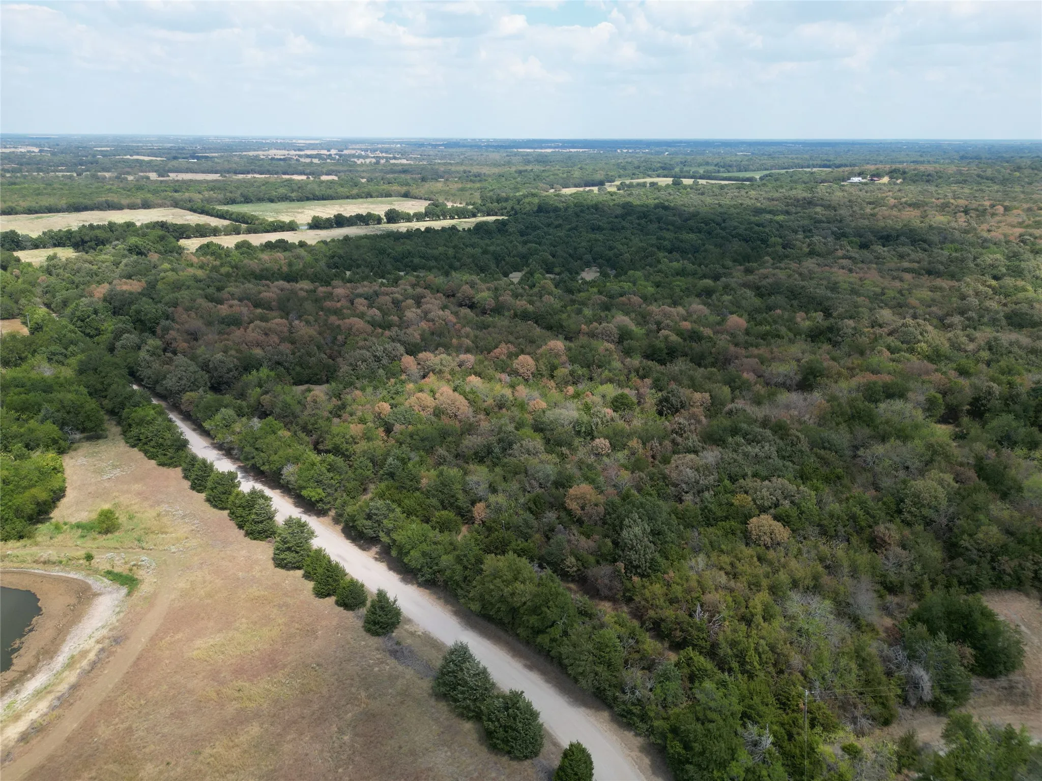 Unimproved Land For Sale in Hunt County , 85 ac County Road 1019, Celeste, Texas 75423, 0, 0, Garage spaces, 0 Sqft, built in 0, mls#21389652, Real Estate Agent in Celeste, Homes For Sale in Hunt county, Homes For Sale in Celeste, Realtor in Celeste Texas, Real Estate Brokerage Independent Realty Texas, Luminita Cordes Realtor
