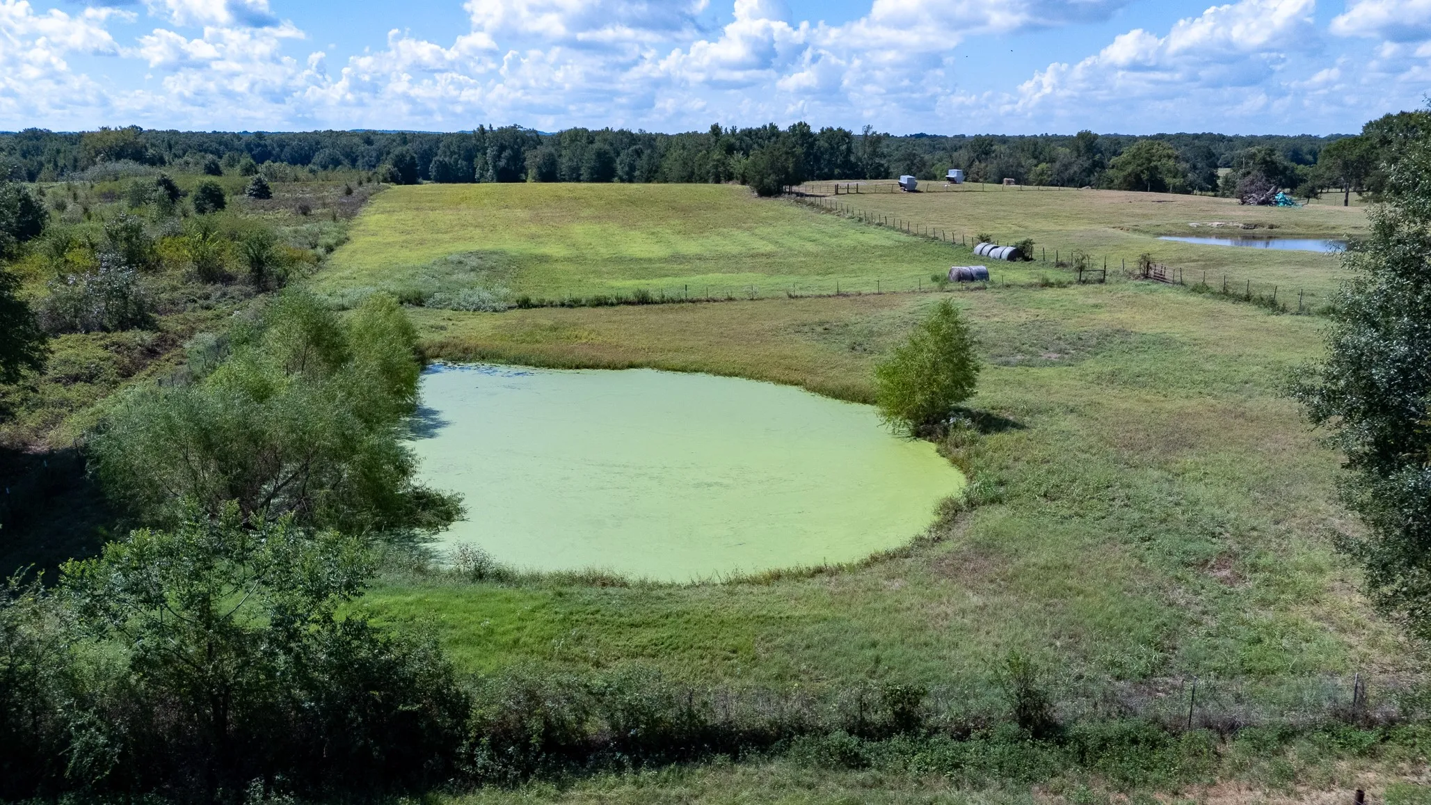 Ranch For Sale in Henderson County , 000 Fm-317, Brownsboro, Texas 75756, 0, 0, Garage spaces, 0 Sqft, built in 0, mls#21388794, Real Estate Agent in Brownsboro, Homes For Sale in Henderson county, Homes For Sale in Brownsboro, Realtor in Brownsboro Texas, Real Estate Brokerage Independent Realty Texas, Luminita Cordes Realtor