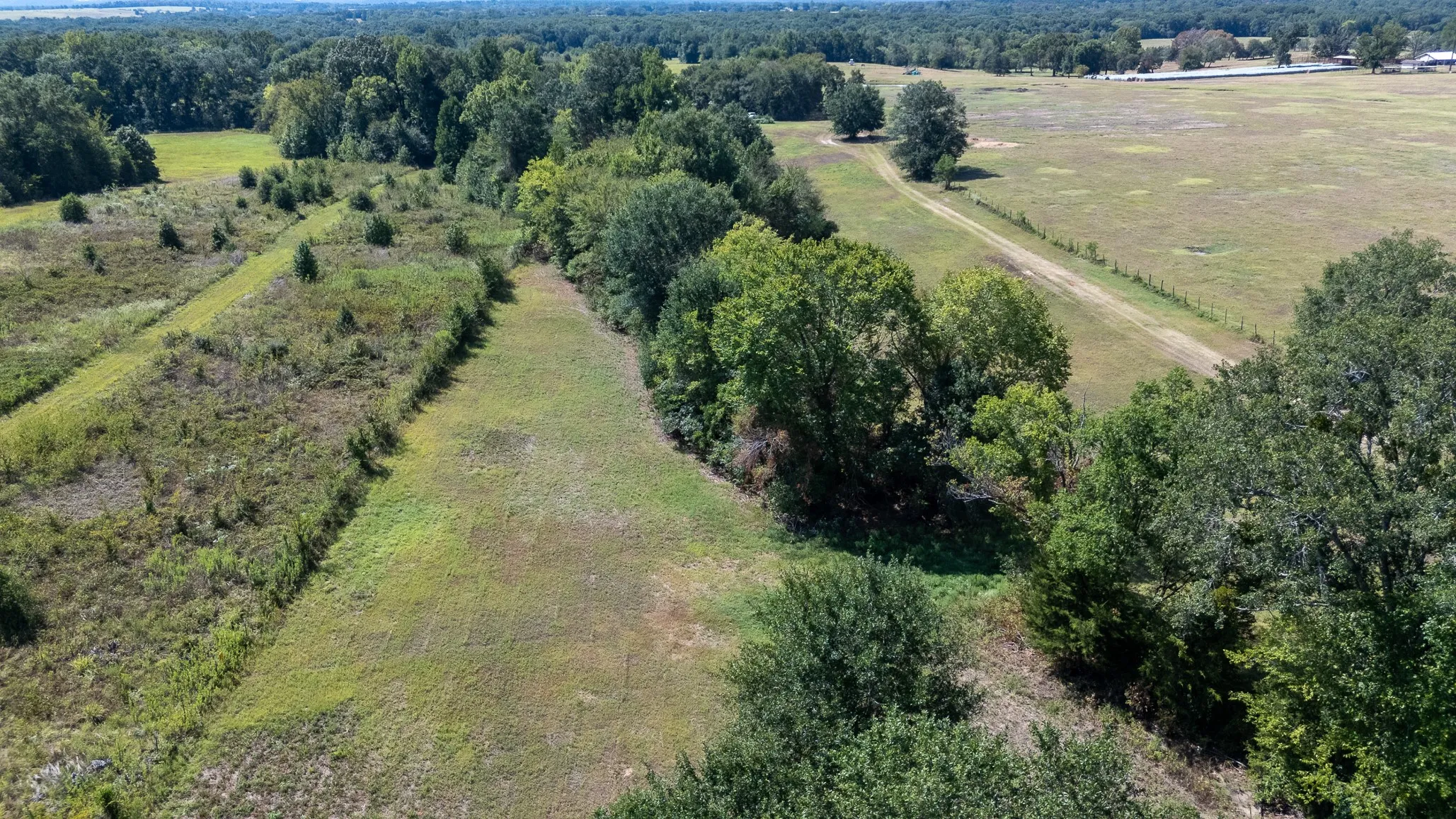 Ranch For Sale in Henderson County , 000 Fm-317, Brownsboro, Texas 75756, 0, 0, Garage spaces, 0 Sqft, built in 0, mls#21388794, Real Estate Agent in Brownsboro, Homes For Sale in Henderson county, Homes For Sale in Brownsboro, Realtor in Brownsboro Texas, Real Estate Brokerage Independent Realty Texas, Luminita Cordes Realtor