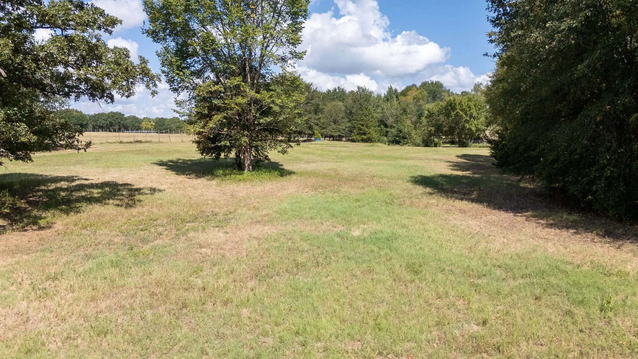 Ranch For Sale in Henderson County , 000 Fm-317, Brownsboro, Texas 75756, 0, 0, Garage spaces, 0 Sqft, built in 0, mls#21388794, Real Estate Agent in Brownsboro, Homes For Sale in Henderson county, Homes For Sale in Brownsboro, Realtor in Brownsboro Texas, Real Estate Brokerage Independent Realty Texas, Luminita Cordes Realtor