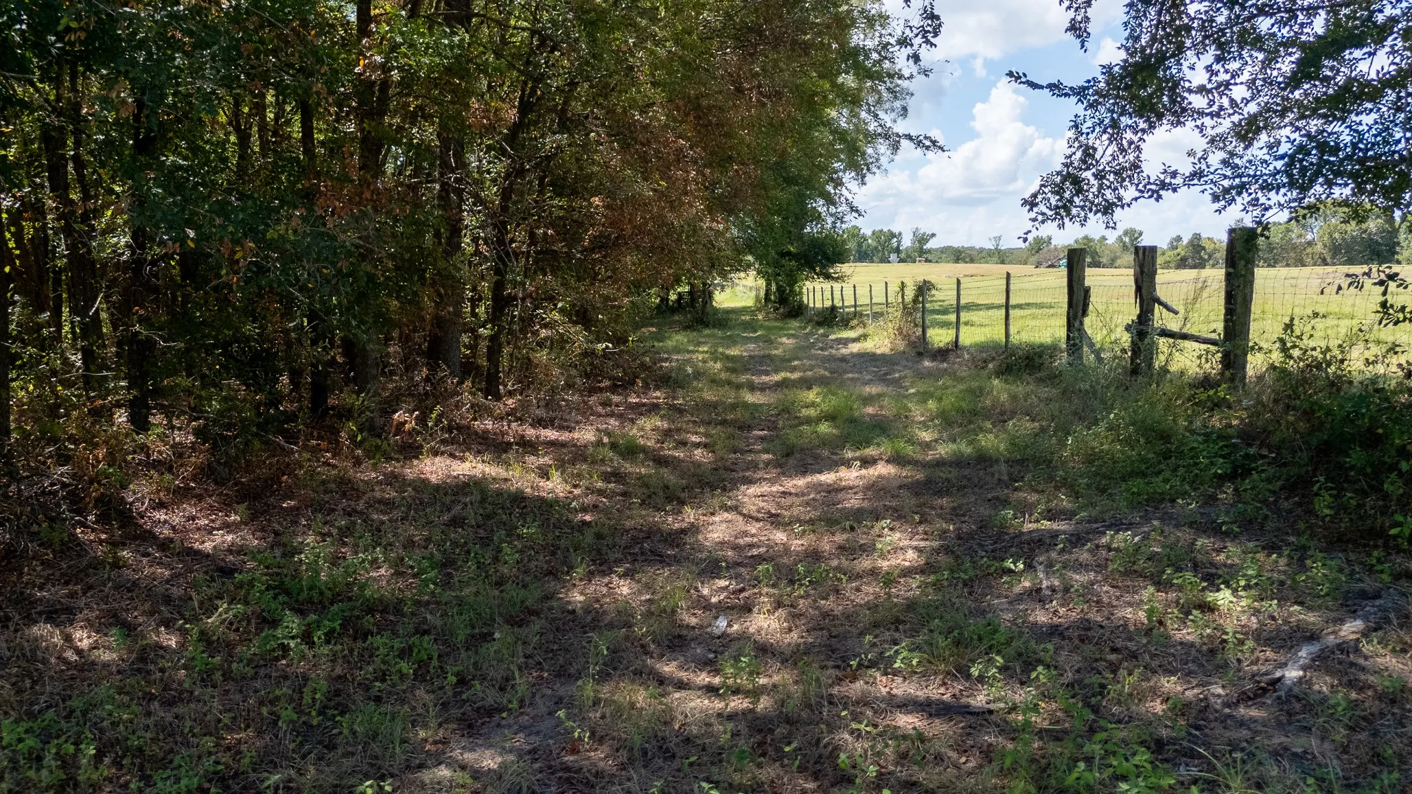 Ranch For Sale in Henderson County , 000 Fm-317, Brownsboro, Texas 75756, 0, 0, Garage spaces, 0 Sqft, built in 0, mls#21388794, Real Estate Agent in Brownsboro, Homes For Sale in Henderson county, Homes For Sale in Brownsboro, Realtor in Brownsboro Texas, Real Estate Brokerage Independent Realty Texas, Luminita Cordes Realtor