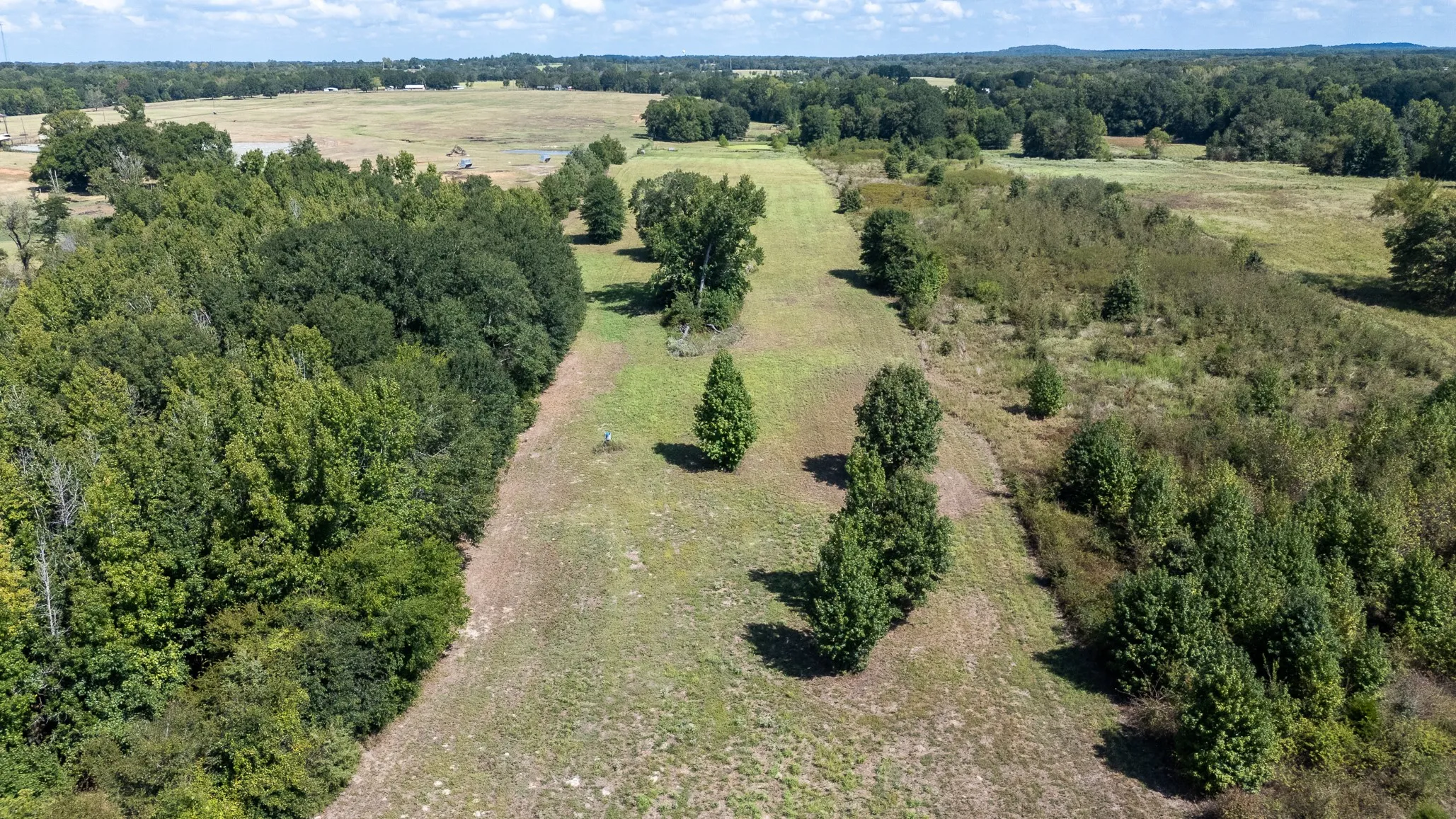 Ranch For Sale in Henderson County , 000 Fm-317, Brownsboro, Texas 75756, 0, 0, Garage spaces, 0 Sqft, built in 0, mls#21388794, Real Estate Agent in Brownsboro, Homes For Sale in Henderson county, Homes For Sale in Brownsboro, Realtor in Brownsboro Texas, Real Estate Brokerage Independent Realty Texas, Luminita Cordes Realtor