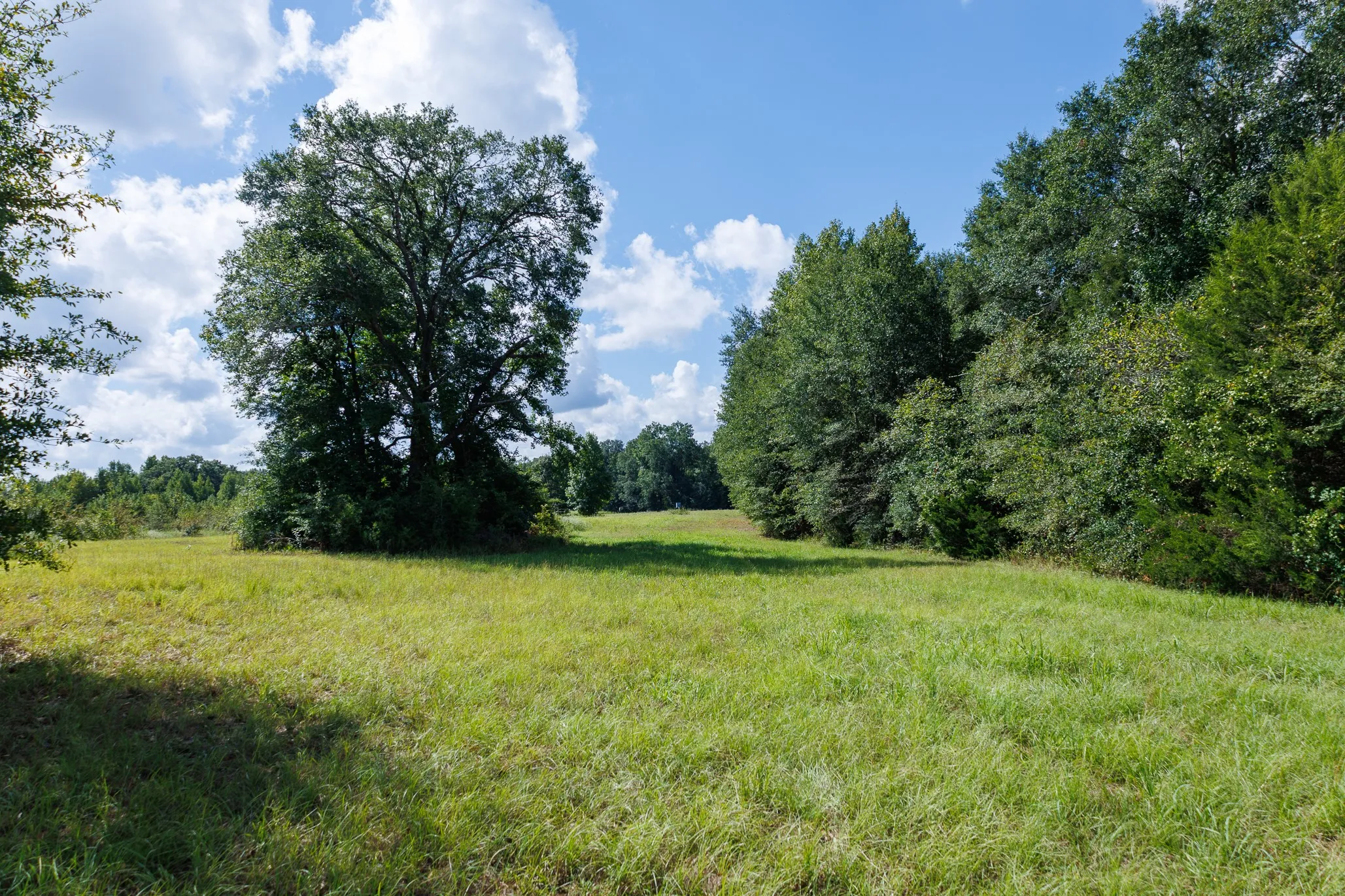 Ranch For Sale in Henderson County , 000 Fm-317, Brownsboro, Texas 75756, 0, 0, Garage spaces, 0 Sqft, built in 0, mls#21388794, Real Estate Agent in Brownsboro, Homes For Sale in Henderson county, Homes For Sale in Brownsboro, Realtor in Brownsboro Texas, Real Estate Brokerage Independent Realty Texas, Luminita Cordes Realtor