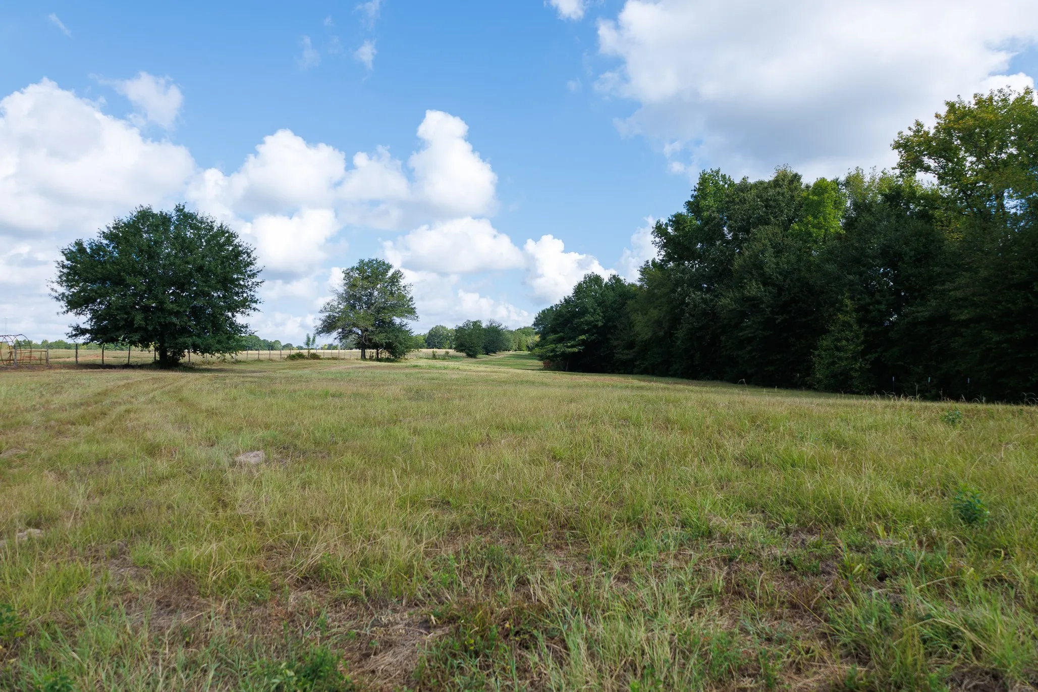 Ranch For Sale in Henderson County , 000 Fm-317, Brownsboro, Texas 75756, 0, 0, Garage spaces, 0 Sqft, built in 0, mls#21388794, Real Estate Agent in Brownsboro, Homes For Sale in Henderson county, Homes For Sale in Brownsboro, Realtor in Brownsboro Texas, Real Estate Brokerage Independent Realty Texas, Luminita Cordes Realtor