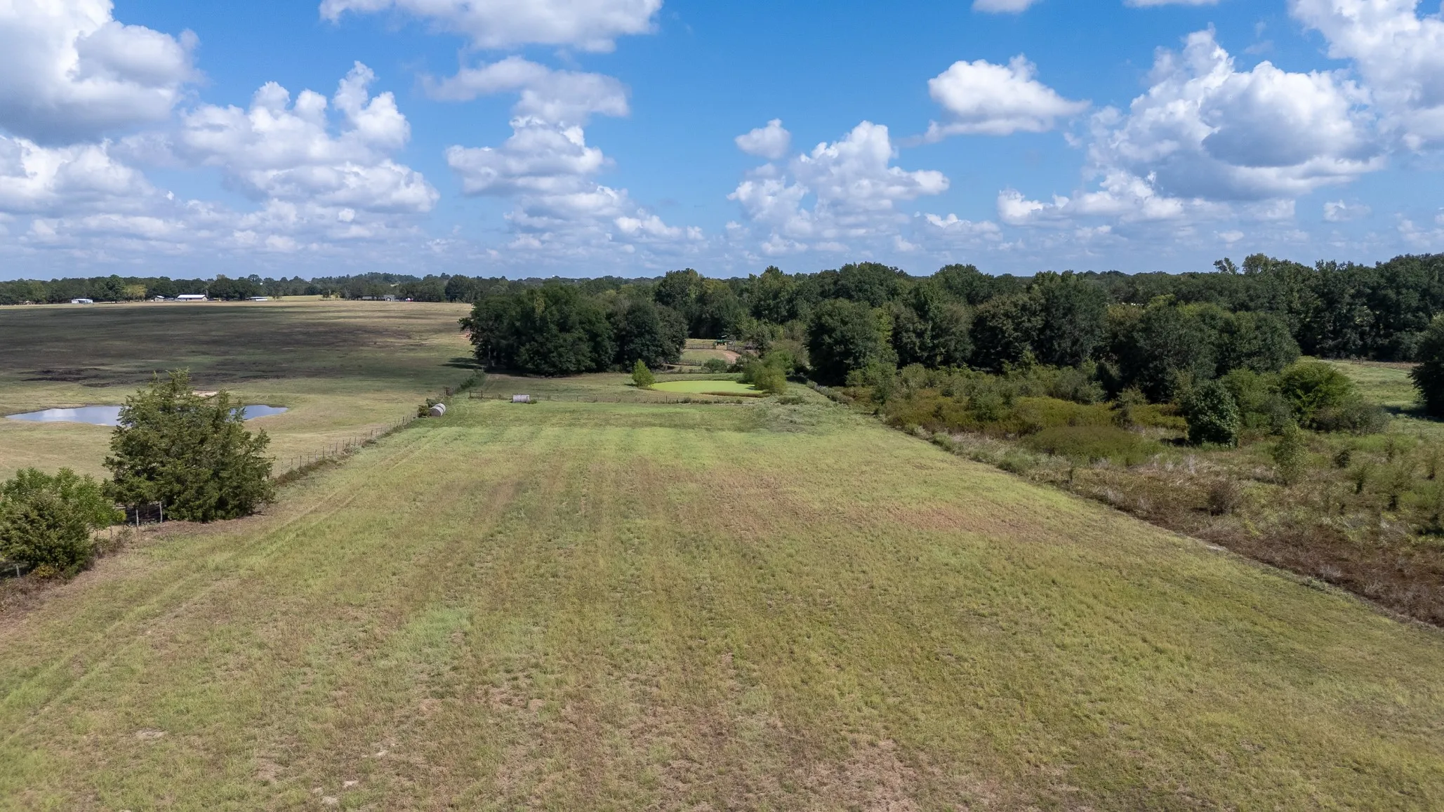 Ranch For Sale in Henderson County , 000 Fm-317, Brownsboro, Texas 75756, 0, 0, Garage spaces, 0 Sqft, built in 0, mls#21388794, Real Estate Agent in Brownsboro, Homes For Sale in Henderson county, Homes For Sale in Brownsboro, Realtor in Brownsboro Texas, Real Estate Brokerage Independent Realty Texas, Luminita Cordes Realtor