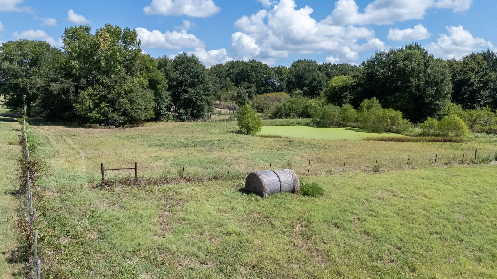 Ranch For Sale in Henderson County , 000 Fm-317, Brownsboro, Texas 75756, 0, 0, Garage spaces, 0 Sqft, built in 0, mls#21388794, Real Estate Agent in Brownsboro, Homes For Sale in Henderson county, Homes For Sale in Brownsboro, Realtor in Brownsboro Texas, Real Estate Brokerage Independent Realty Texas, Luminita Cordes Realtor