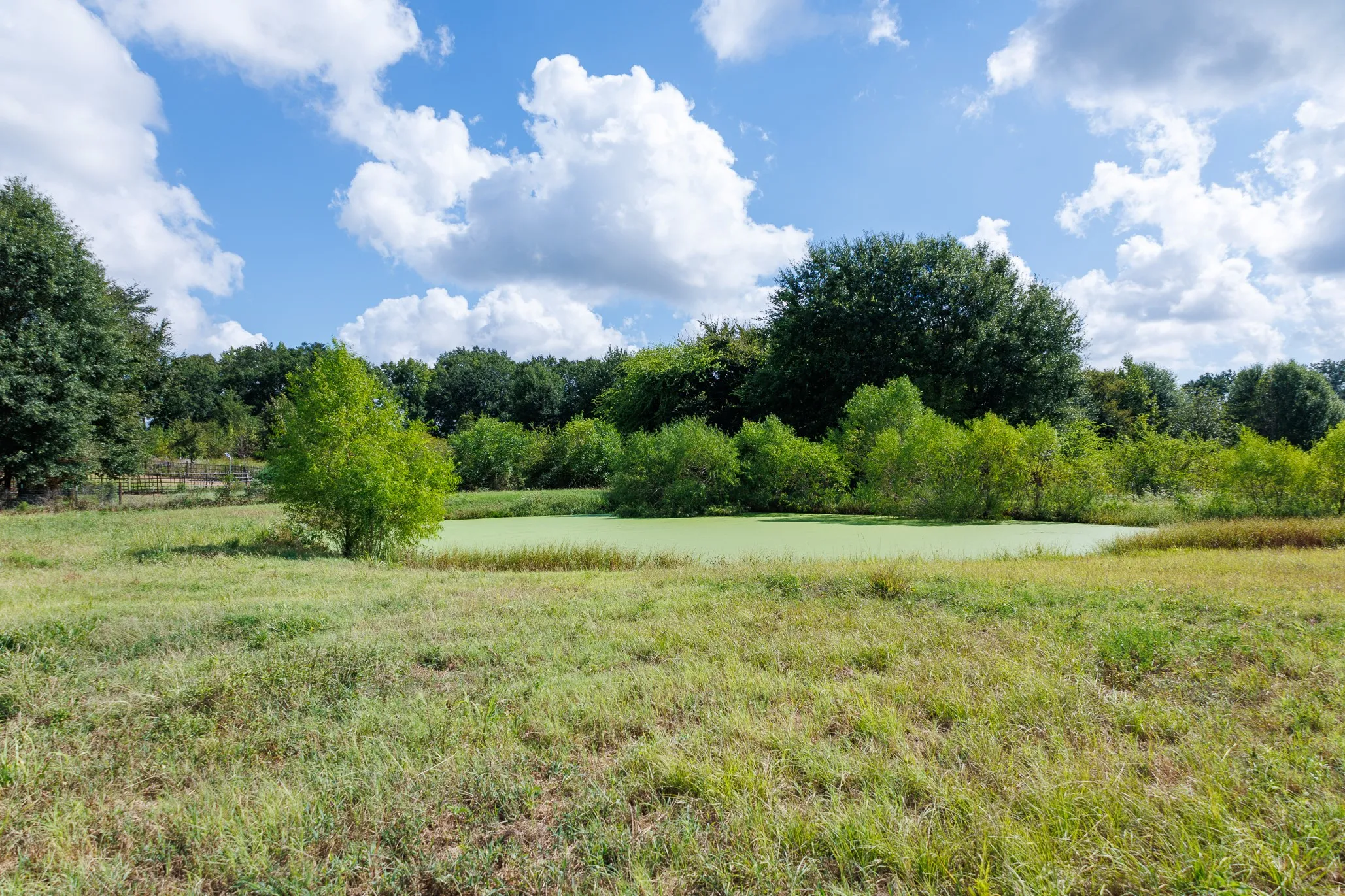 Ranch For Sale in Henderson County , 000 Fm-317, Brownsboro, Texas 75756, 0, 0, Garage spaces, 0 Sqft, built in 0, mls#21388794, Real Estate Agent in Brownsboro, Homes For Sale in Henderson county, Homes For Sale in Brownsboro, Realtor in Brownsboro Texas, Real Estate Brokerage Independent Realty Texas, Luminita Cordes Realtor