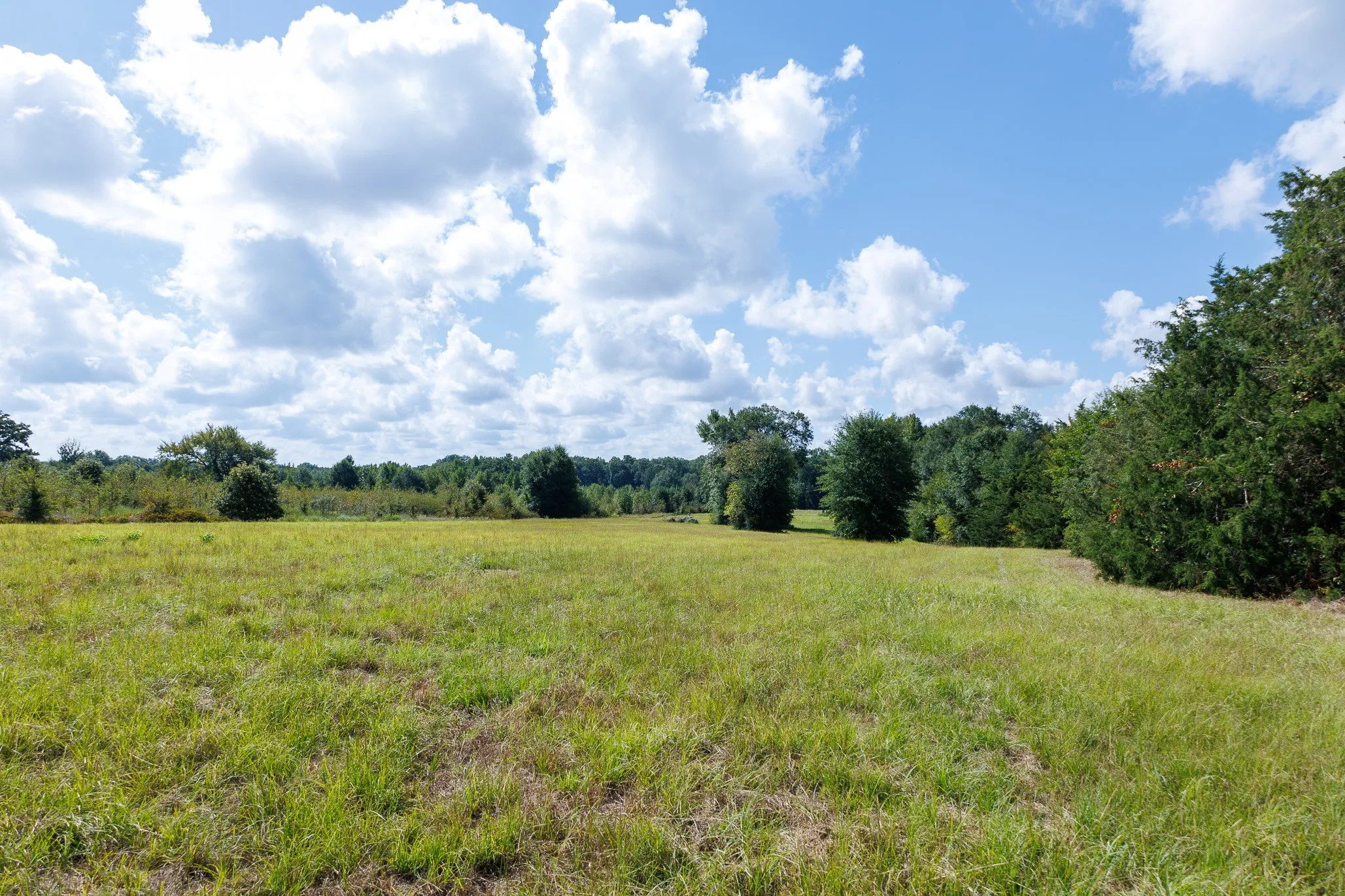 Ranch For Sale in Henderson County , 000 Fm-317, Brownsboro, Texas 75756, 0, 0, Garage spaces, 0 Sqft, built in 0, mls#21388794, Real Estate Agent in Brownsboro, Homes For Sale in Henderson county, Homes For Sale in Brownsboro, Realtor in Brownsboro Texas, Real Estate Brokerage Independent Realty Texas, Luminita Cordes Realtor