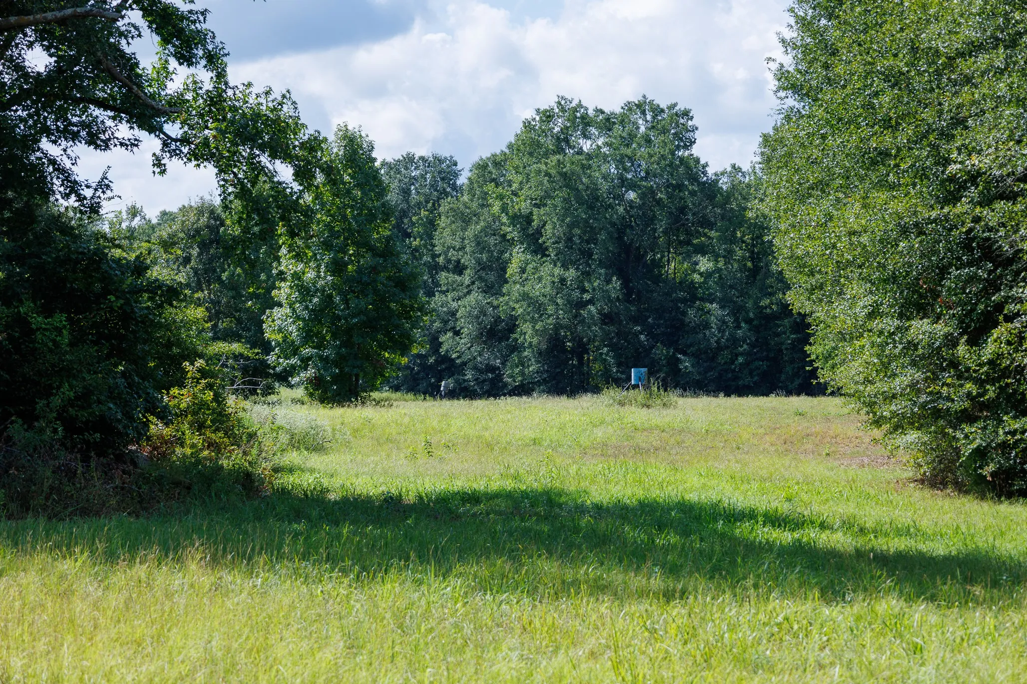 Ranch For Sale in Henderson County , 000 Fm-317, Brownsboro, Texas 75756, 0, 0, Garage spaces, 0 Sqft, built in 0, mls#21388794, Real Estate Agent in Brownsboro, Homes For Sale in Henderson county, Homes For Sale in Brownsboro, Realtor in Brownsboro Texas, Real Estate Brokerage Independent Realty Texas, Luminita Cordes Realtor