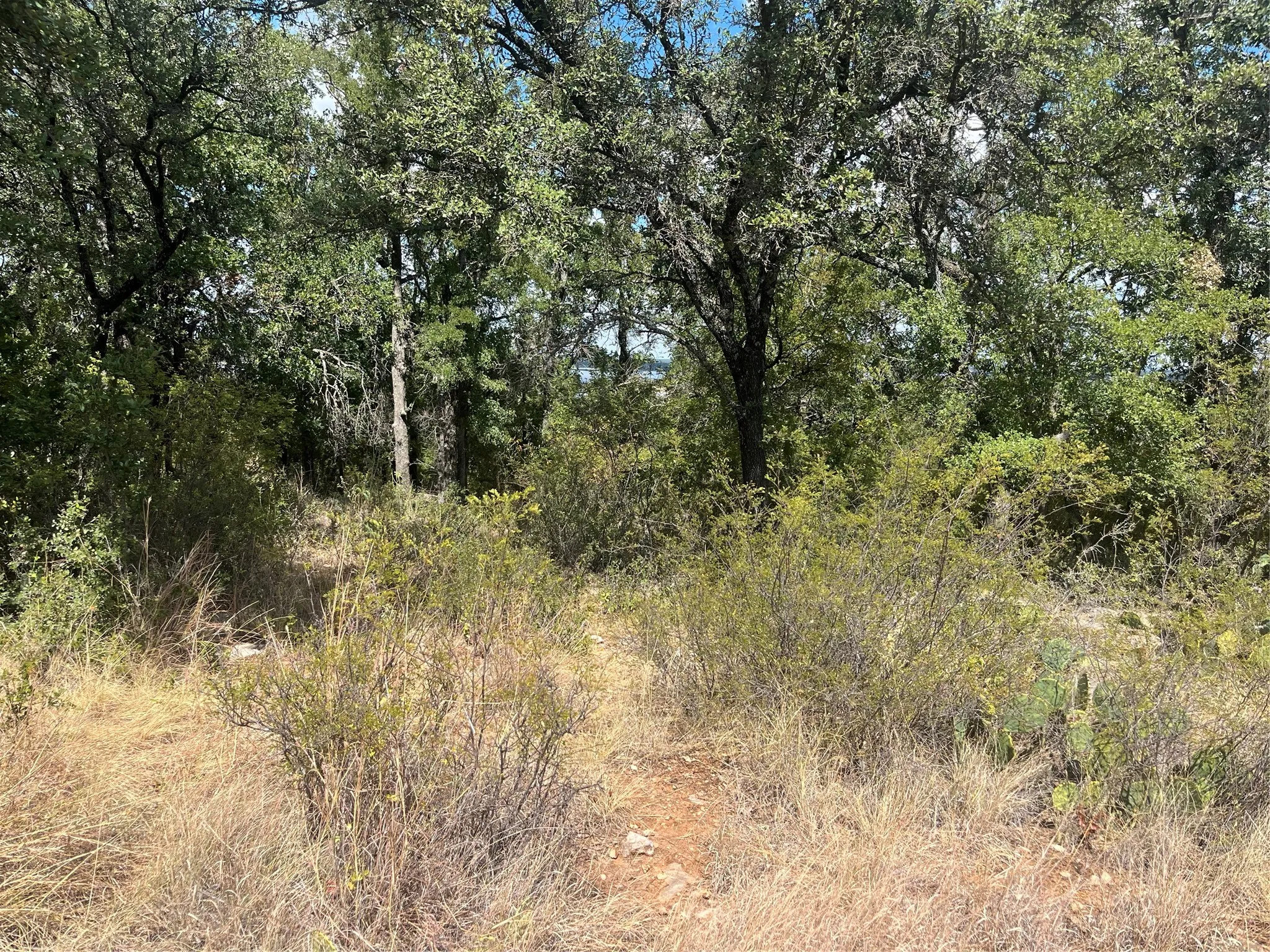 Unimproved Land For Sale in Brown County , TBD Fm 2632 N, Brownwood, Texas 76801, 0, 0, Garage spaces, 0 Sqft, built in 0, mls#21386244, Real Estate Agent in Brownwood, Homes For Sale in Brown county, Homes For Sale in Brownwood, Realtor in Brownwood Texas, Real Estate Brokerage Independent Realty Texas, Luminita Cordes Realtor