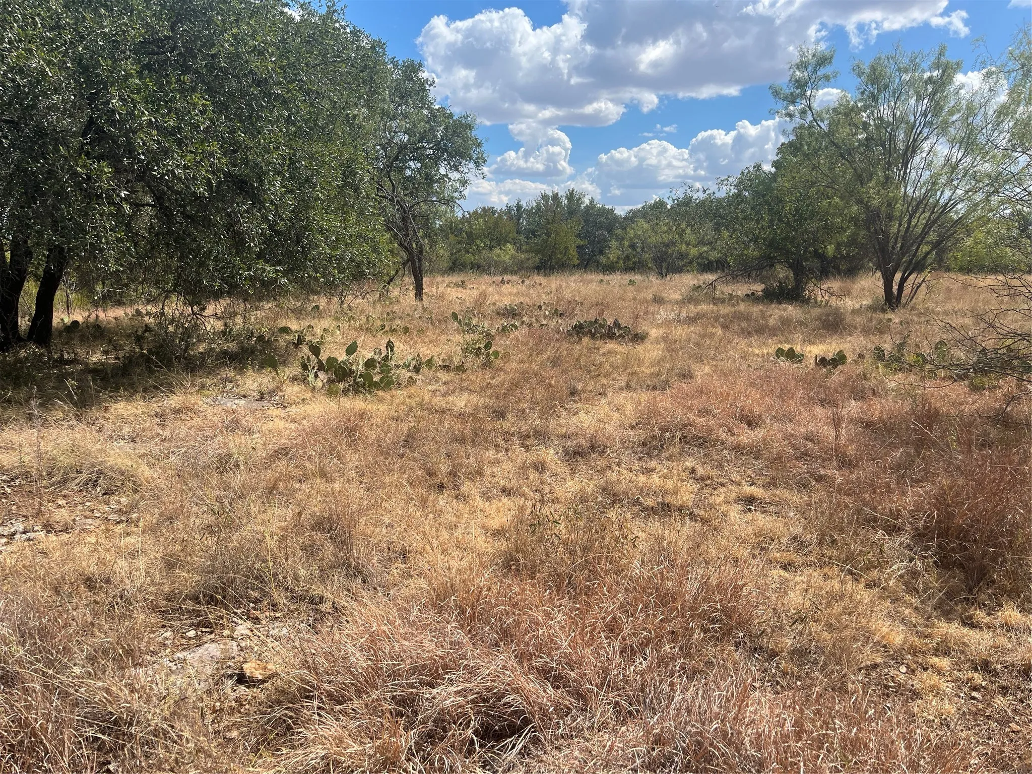 Unimproved Land For Sale in Brown County , TBD Fm 2632 N, Brownwood, Texas 76801, 0, 0, Garage spaces, 0 Sqft, built in 0, mls#21386244, Real Estate Agent in Brownwood, Homes For Sale in Brown county, Homes For Sale in Brownwood, Realtor in Brownwood Texas, Real Estate Brokerage Independent Realty Texas, Luminita Cordes Realtor