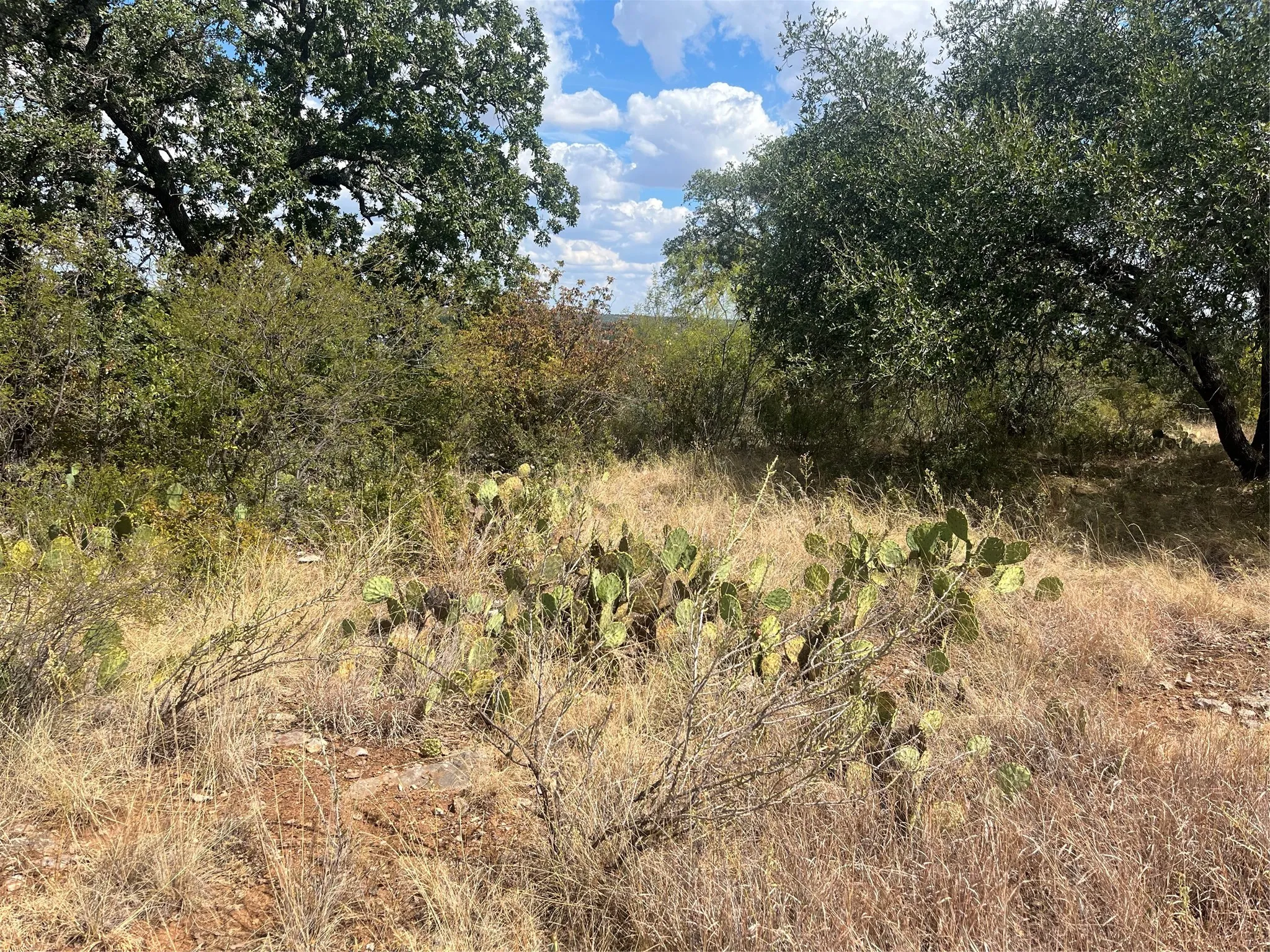 Unimproved Land For Sale in Brown County , TBD Fm 2632 N, Brownwood, Texas 76801, 0, 0, Garage spaces, 0 Sqft, built in 0, mls#21386244, Real Estate Agent in Brownwood, Homes For Sale in Brown county, Homes For Sale in Brownwood, Realtor in Brownwood Texas, Real Estate Brokerage Independent Realty Texas, Luminita Cordes Realtor