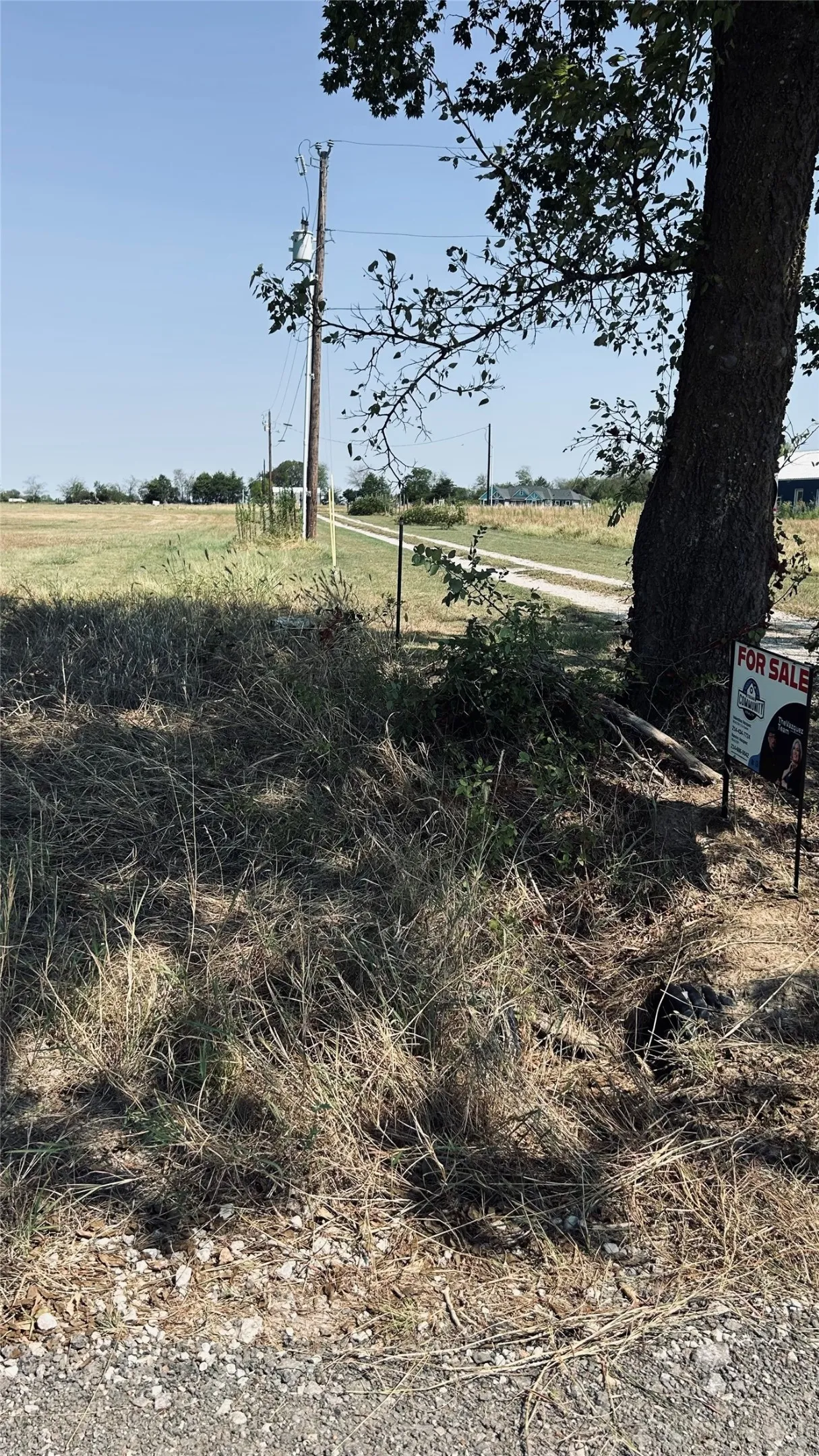 Unimproved Land For Sale in Rains County , 1235 County Road 1235, Point, Texas 75472, 0, 0, Garage spaces, 0 Sqft, built in 0, mls#21381342, Real Estate Agent in Point, Homes For Sale in Rains county, Homes For Sale in Point, Realtor in Point Texas, Real Estate Brokerage Independent Realty Texas, Luminita Cordes Realtor
