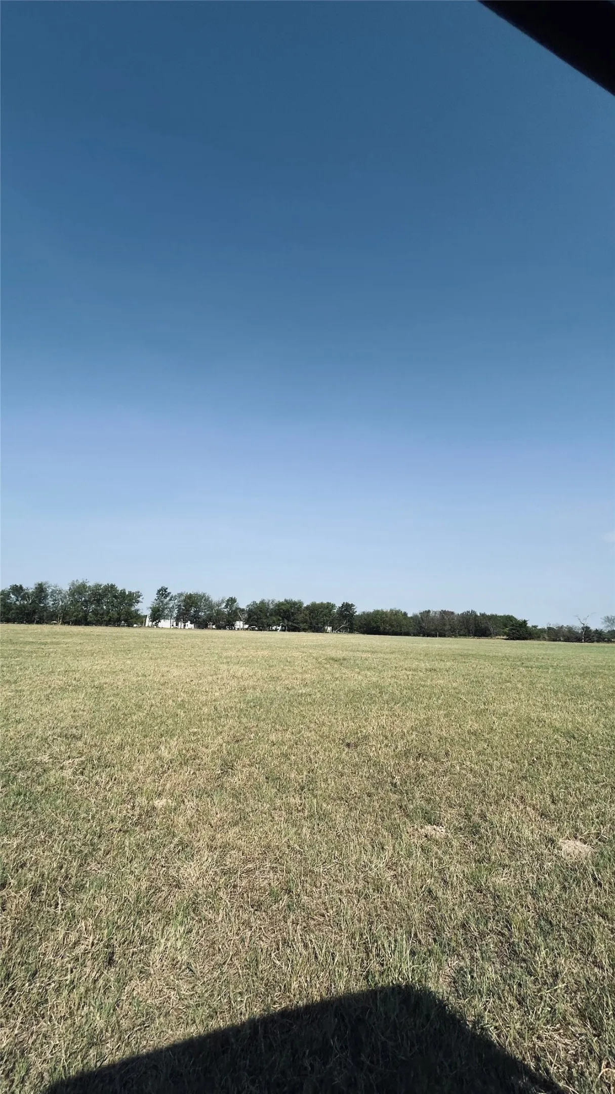 Unimproved Land For Sale in Rains County , 1235 County Road 1235, Point, Texas 75472, 0, 0, Garage spaces, 0 Sqft, built in 0, mls#21381342, Real Estate Agent in Point, Homes For Sale in Rains county, Homes For Sale in Point, Realtor in Point Texas, Real Estate Brokerage Independent Realty Texas, Luminita Cordes Realtor