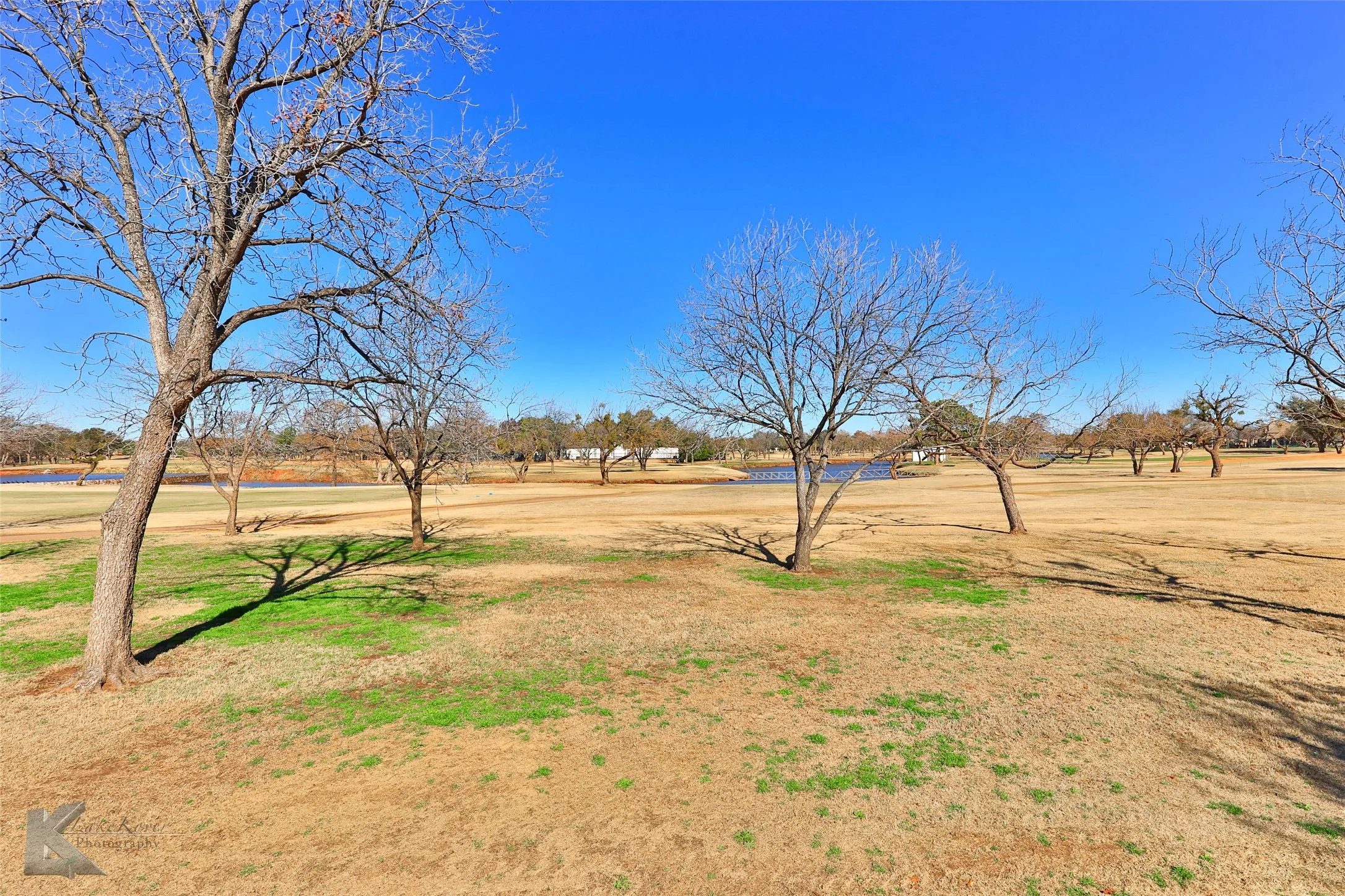 Single Family Residence For Rent in Taylor County , 39 Tamarisk Circle, Abilene, Texas 79606, 3 Bedroom, 3 Bathroom, 2 Garage spaces, 2,448 Sqft, built in 1979, mls#21389730, Real Estate Agent in Abilene, Homes For Rent in Taylor county, Homes For Rent in Abilene, Realtor in Abilene Texas, Real Estate Brokerage Independent Realty Texas, Luminita Cordes Realtor