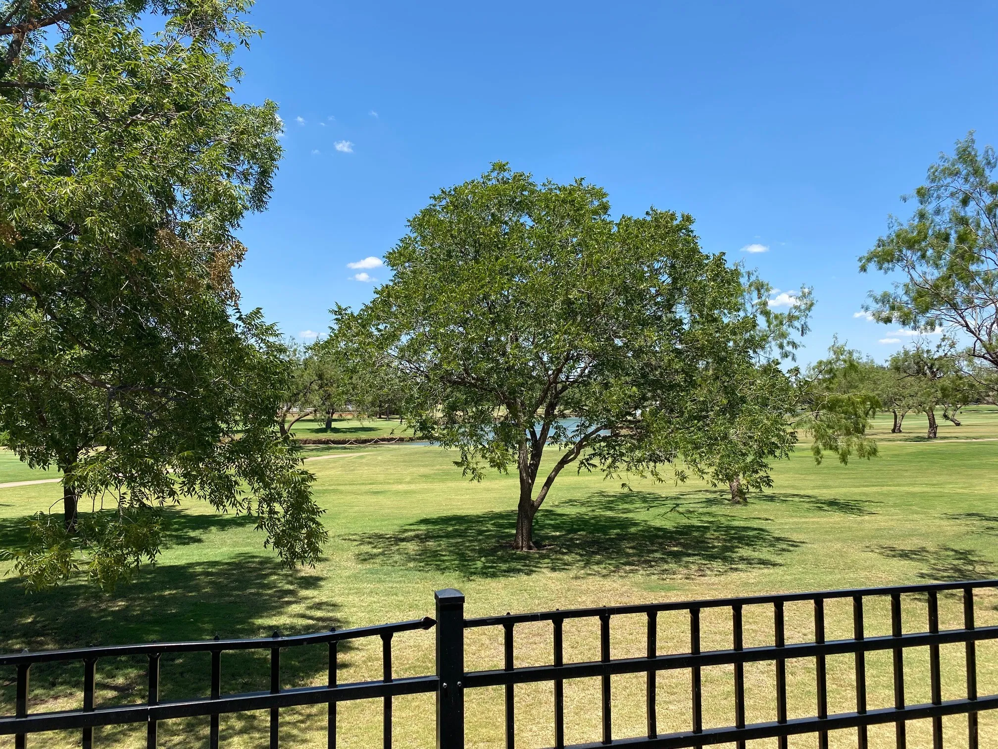 Single Family Residence For Rent in Taylor County , 39 Tamarisk Circle, Abilene, Texas 79606, 3 Bedroom, 3 Bathroom, 2 Garage spaces, 2,448 Sqft, built in 1979, mls#21389730, Real Estate Agent in Abilene, Homes For Rent in Taylor county, Homes For Rent in Abilene, Realtor in Abilene Texas, Real Estate Brokerage Independent Realty Texas, Luminita Cordes Realtor