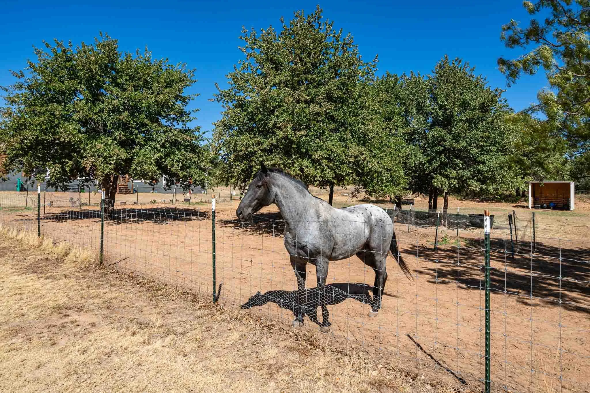 Single Family Residence For Sale in Jones County , 8115 County Road 358, Anson, Texas 79501, 4 Bedroom, 2 Bathroom, Garage spaces, 2,128 Sqft, built in 2021, mls#21389739, Real Estate Agent in Anson, Homes For Sale in Jones county, Homes For Sale in Anson, Realtor in Anson Texas, Real Estate Brokerage Independent Realty Texas, Luminita Cordes Realtor