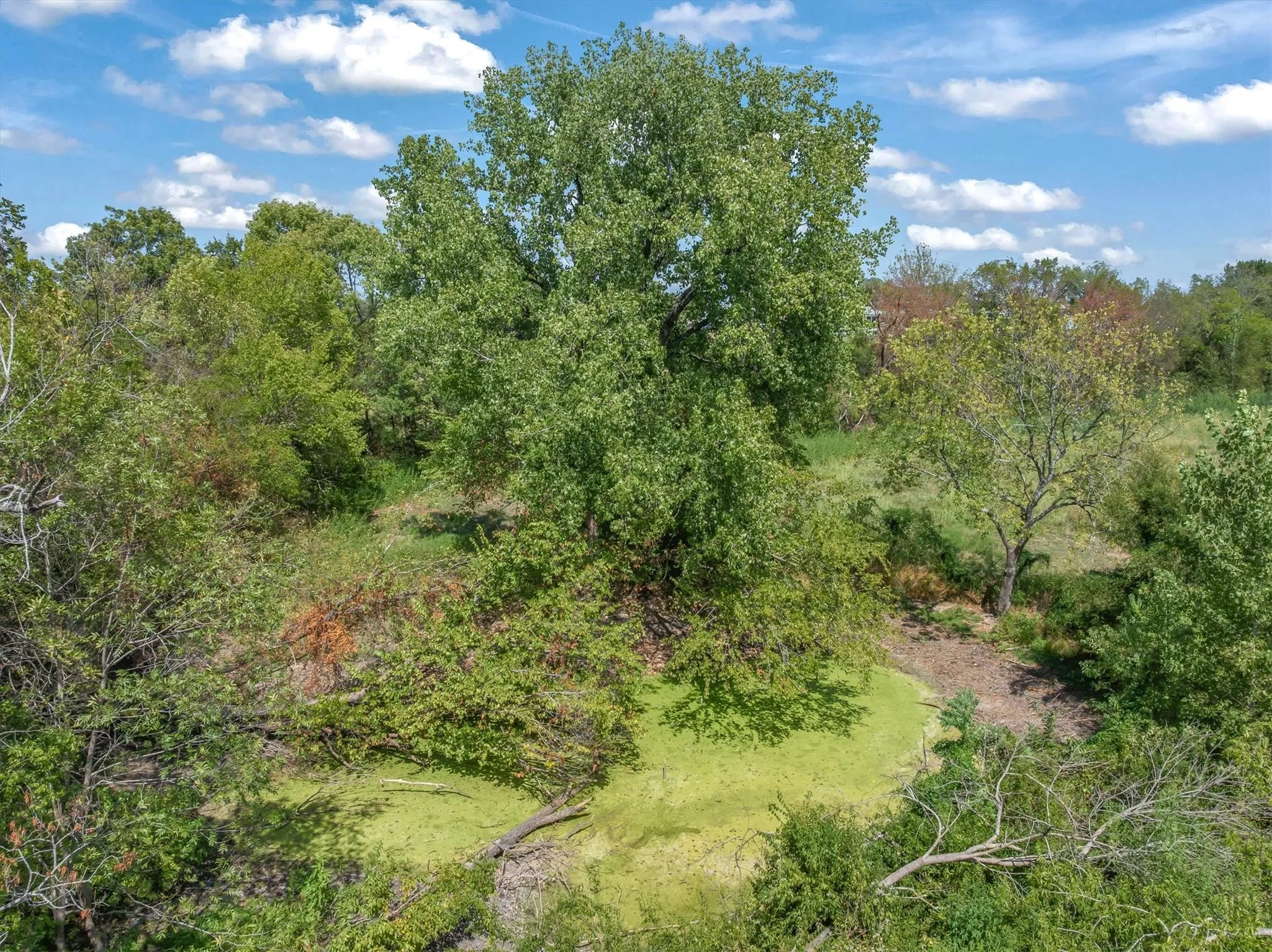 Pond