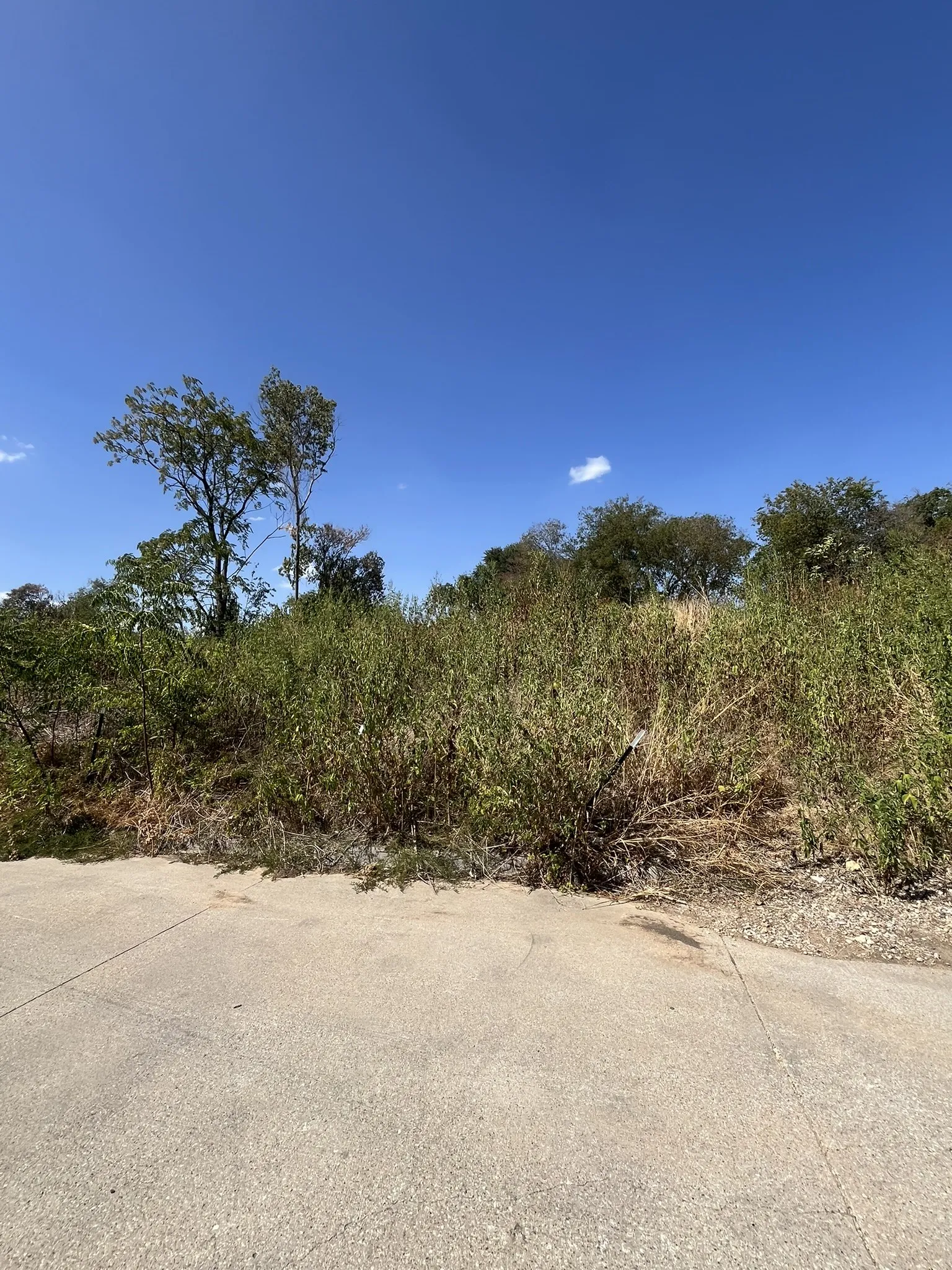 Unimproved Land For Sale in Tarrant County , 5032 Blackmore Avenue, Fort Worth, Texas 76107, 0, 0, Garage spaces, 0 Sqft, built in 0, mls#21389001, Real Estate Agent in Fort Worth, Homes For Sale in Tarrant county, Homes For Sale in Fort Worth, Realtor in Fort Worth Texas, Real Estate Brokerage Independent Realty Texas, Luminita Cordes Realtor