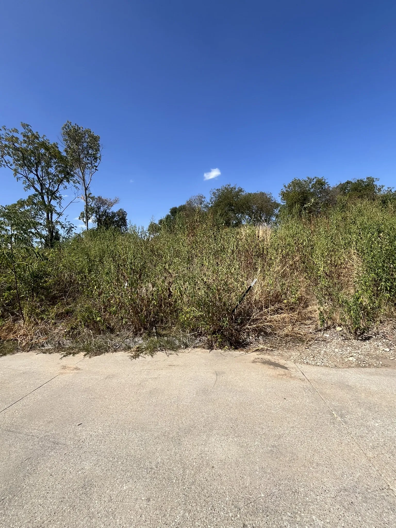Unimproved Land For Sale in Tarrant County , 5032 Blackmore Avenue, Fort Worth, Texas 76107, 0, 0, Garage spaces, 0 Sqft, built in 0, mls#21389001, Real Estate Agent in Fort Worth, Homes For Sale in Tarrant county, Homes For Sale in Fort Worth, Realtor in Fort Worth Texas, Real Estate Brokerage Independent Realty Texas, Luminita Cordes Realtor
