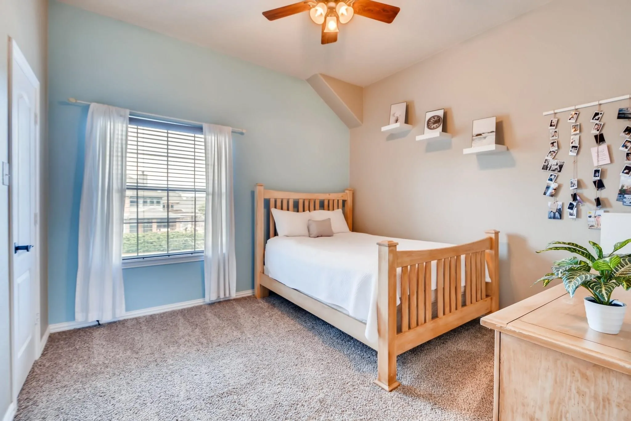 Carpeted room featuring a window with horizontal blinds, a ceiling fan, and painted walls