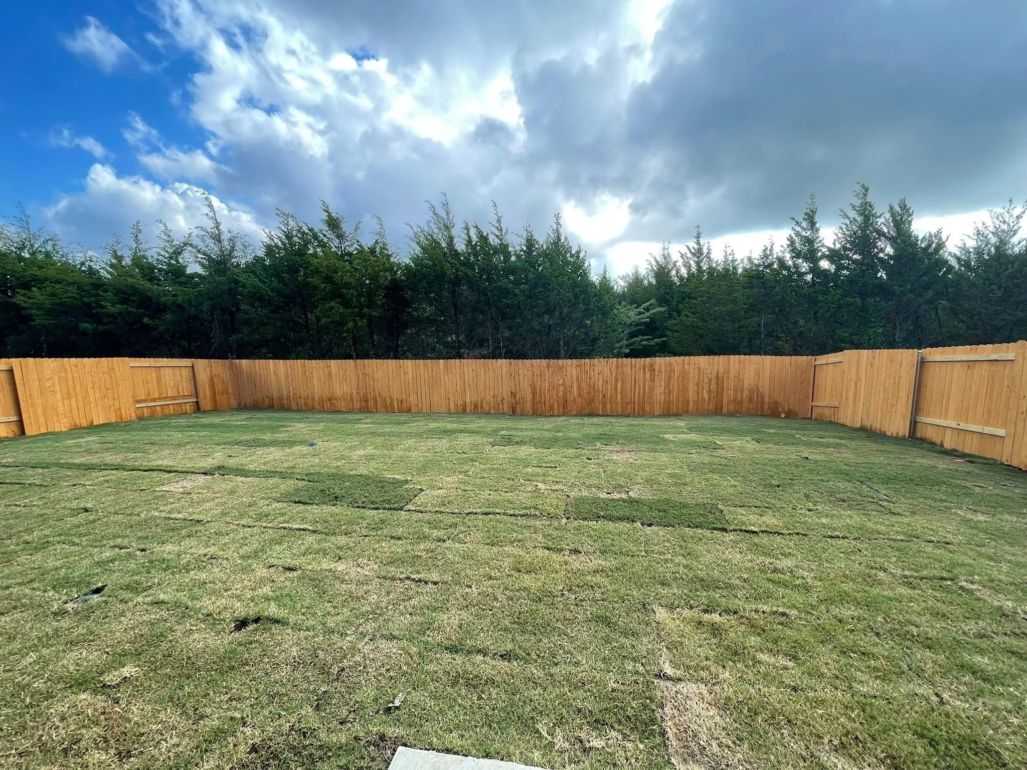 Single Family Residence For Rent in Collin County , 2252 Cashmere Way, Princeton, Texas 75407, 4 Bedroom, 3 Bathroom, 2 Garage spaces, 2,171 Sqft, built in 2021, mls#21389795, Real Estate Agent in Princeton, Homes For Rent in Collin county, Homes For Rent in Princeton, Realtor in Princeton Texas, Real Estate Brokerage Independent Realty Texas, Luminita Cordes Realtor