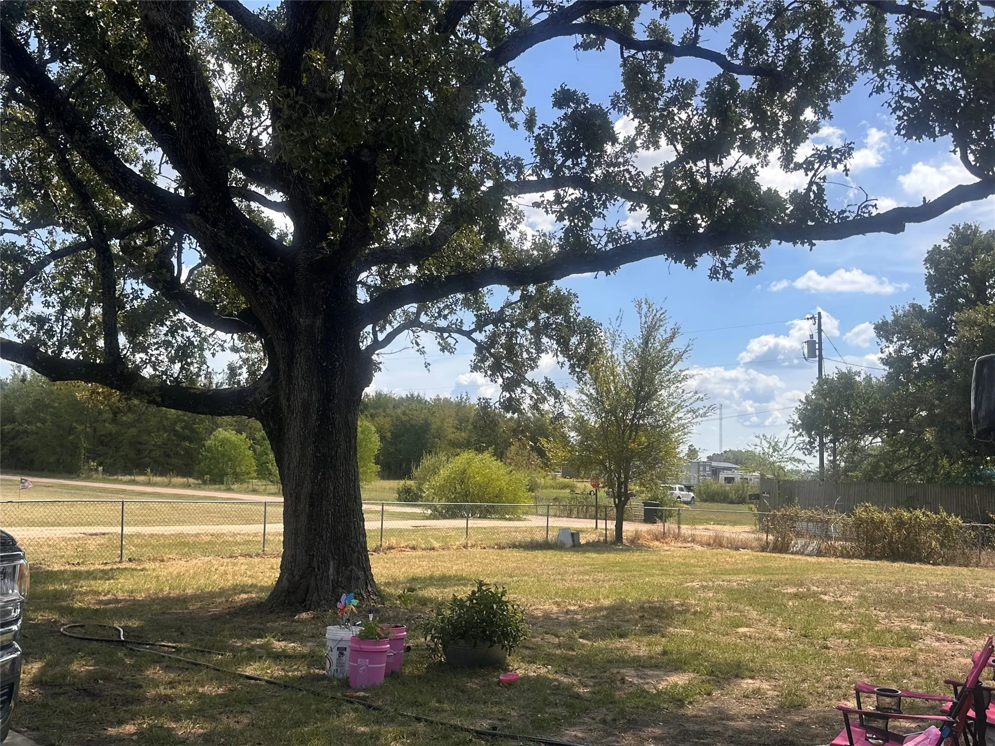 Expansive outdoor space featuring a mature shade tree, natural landscaping, and partial fencing